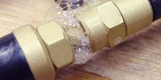 Professional Leak Detection Services