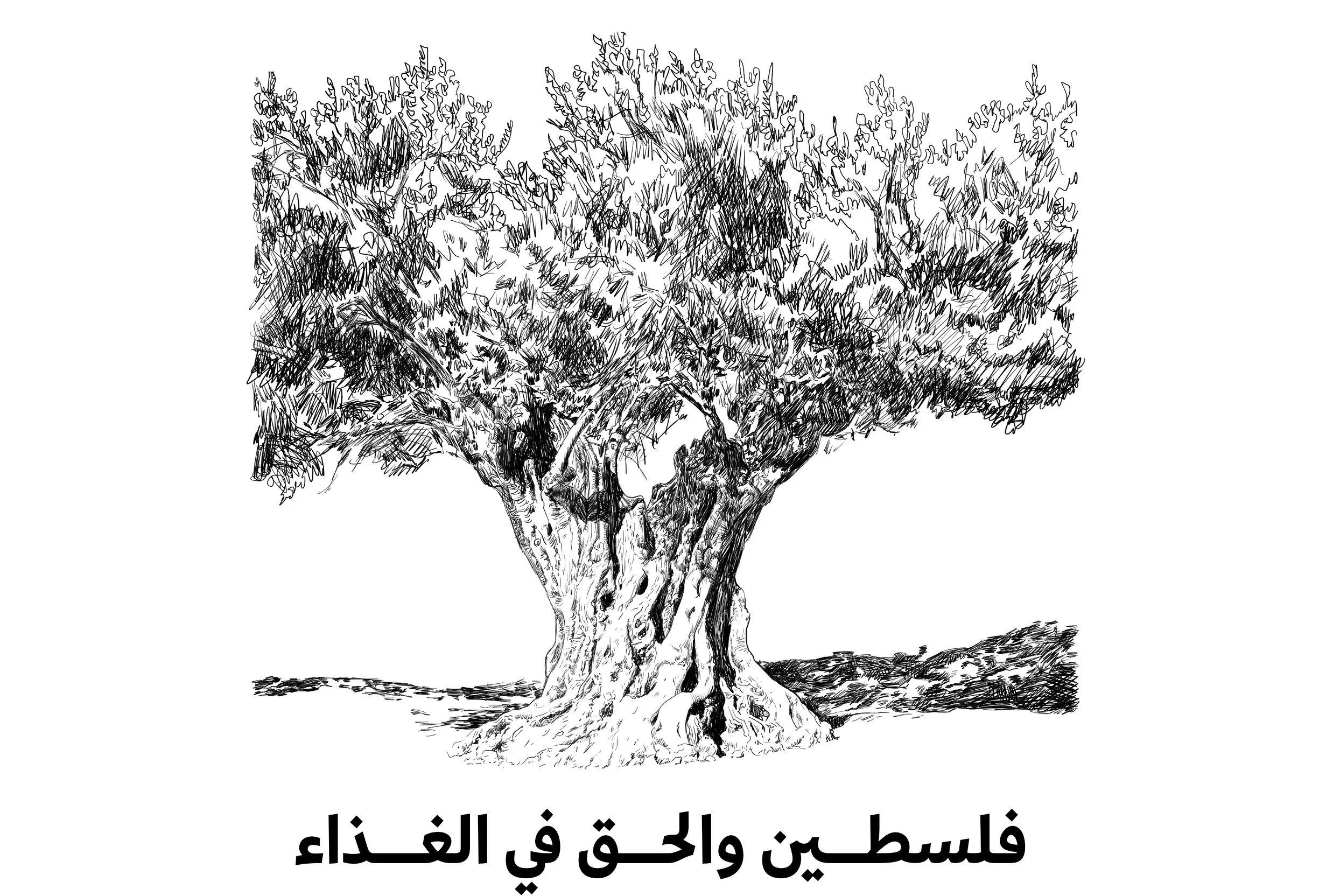 فلسطين والحق في الغذاء