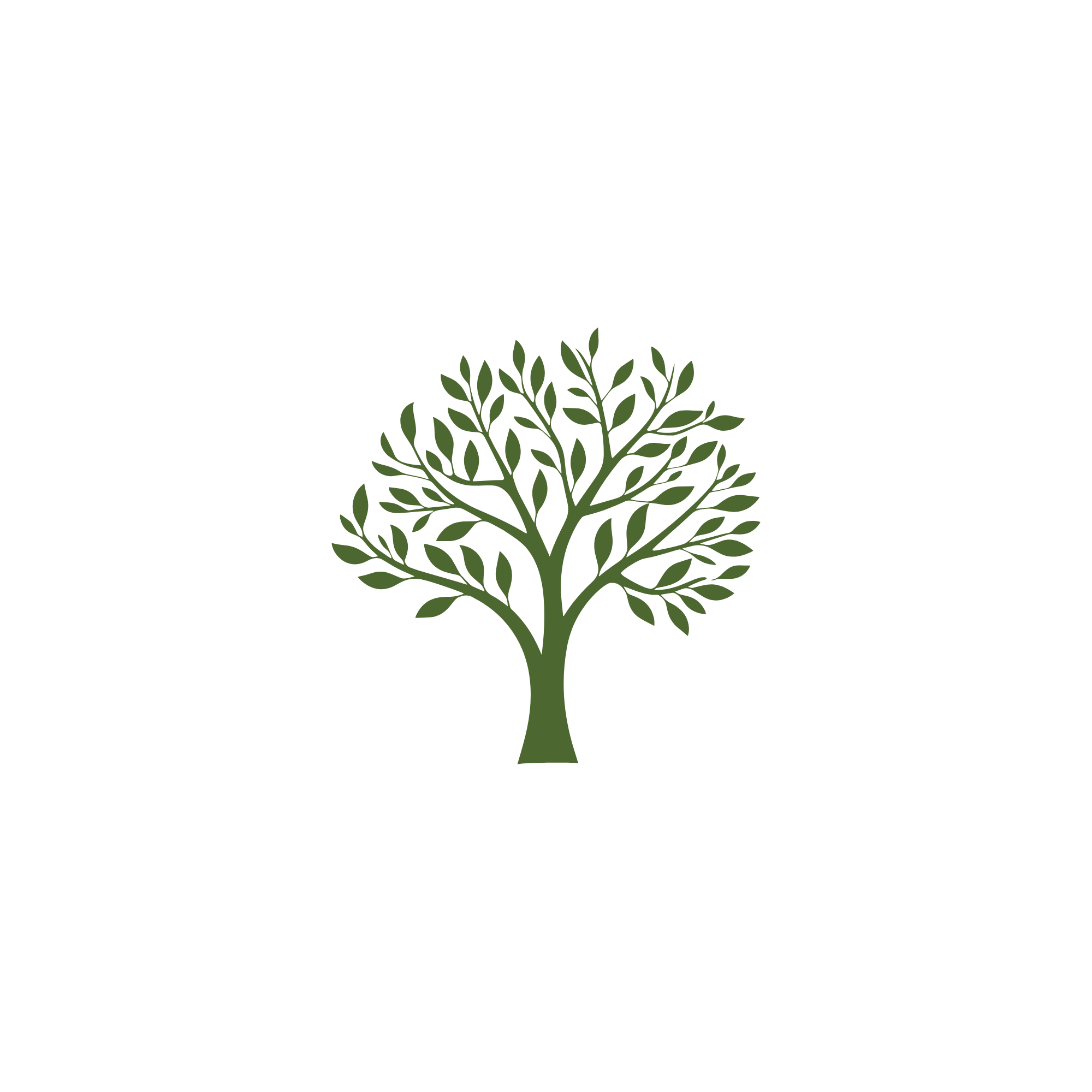 Outline of a tree
