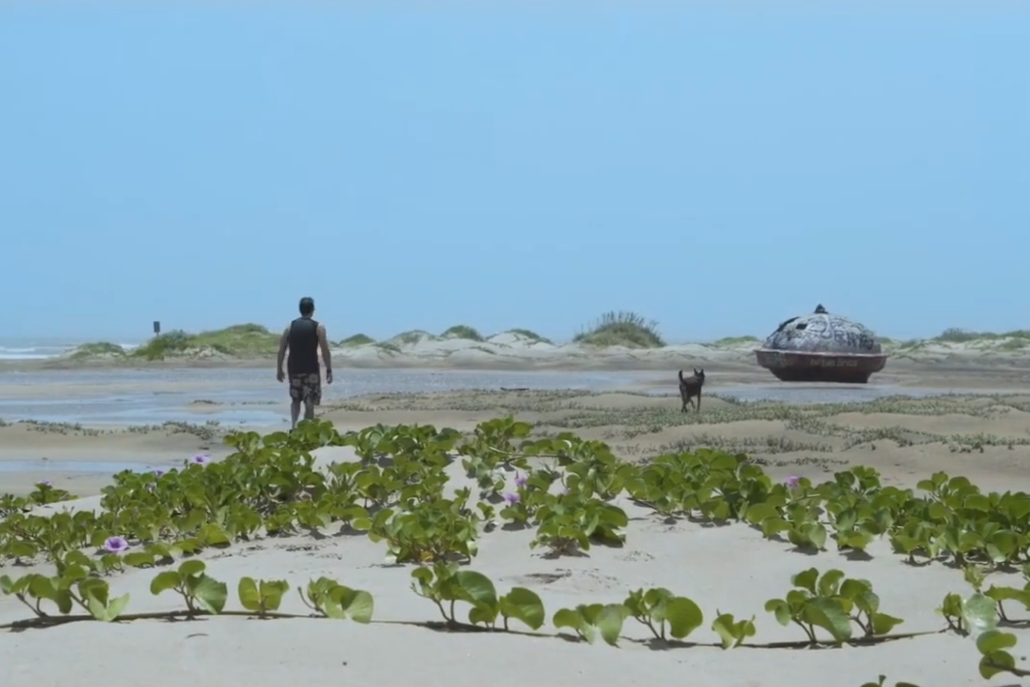 A person walking on a sandy beach with green plants and purple flowers in the foreground, distant sand dunes, a dog, and a large art sculpture resembling a UFO, with the ocean and clear sky in the background.