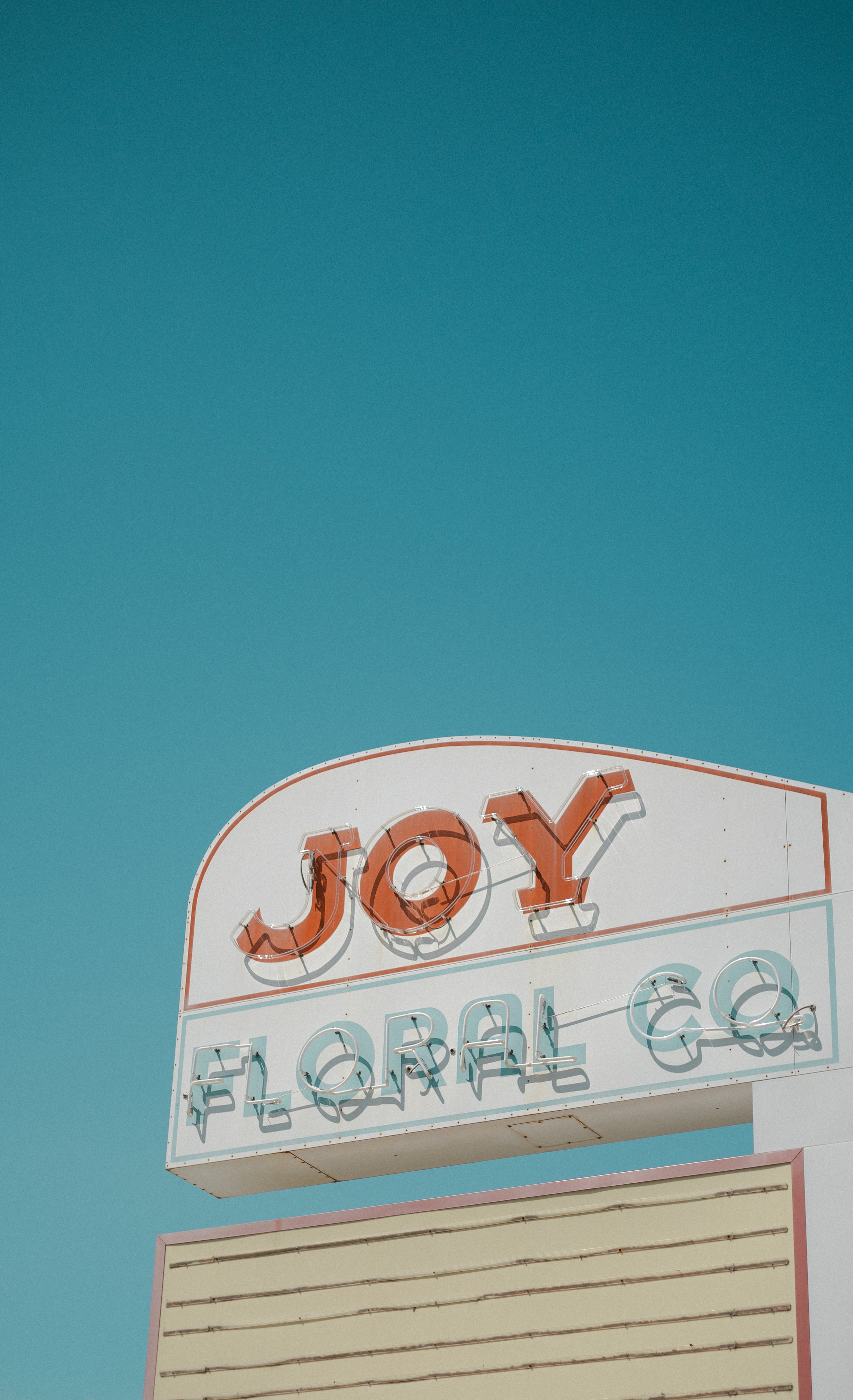 Joy Floral2.jpg
