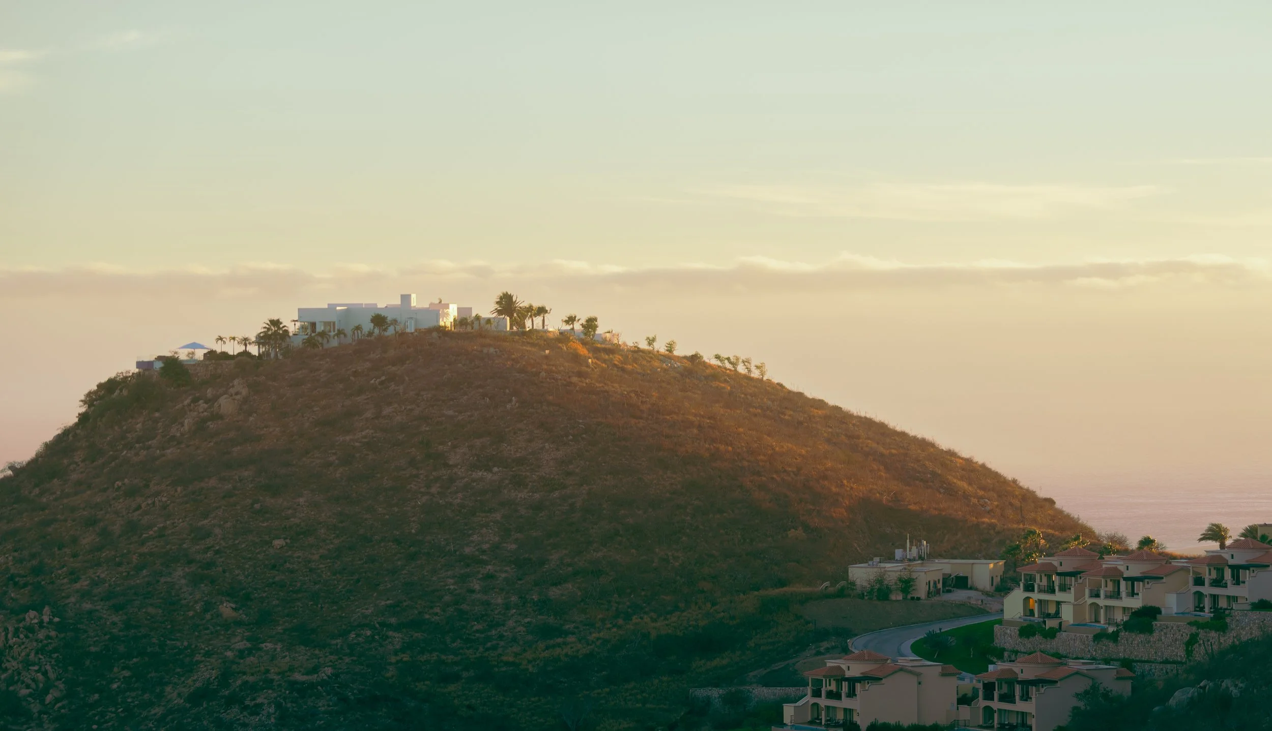 Pedregal Landscape.jpg