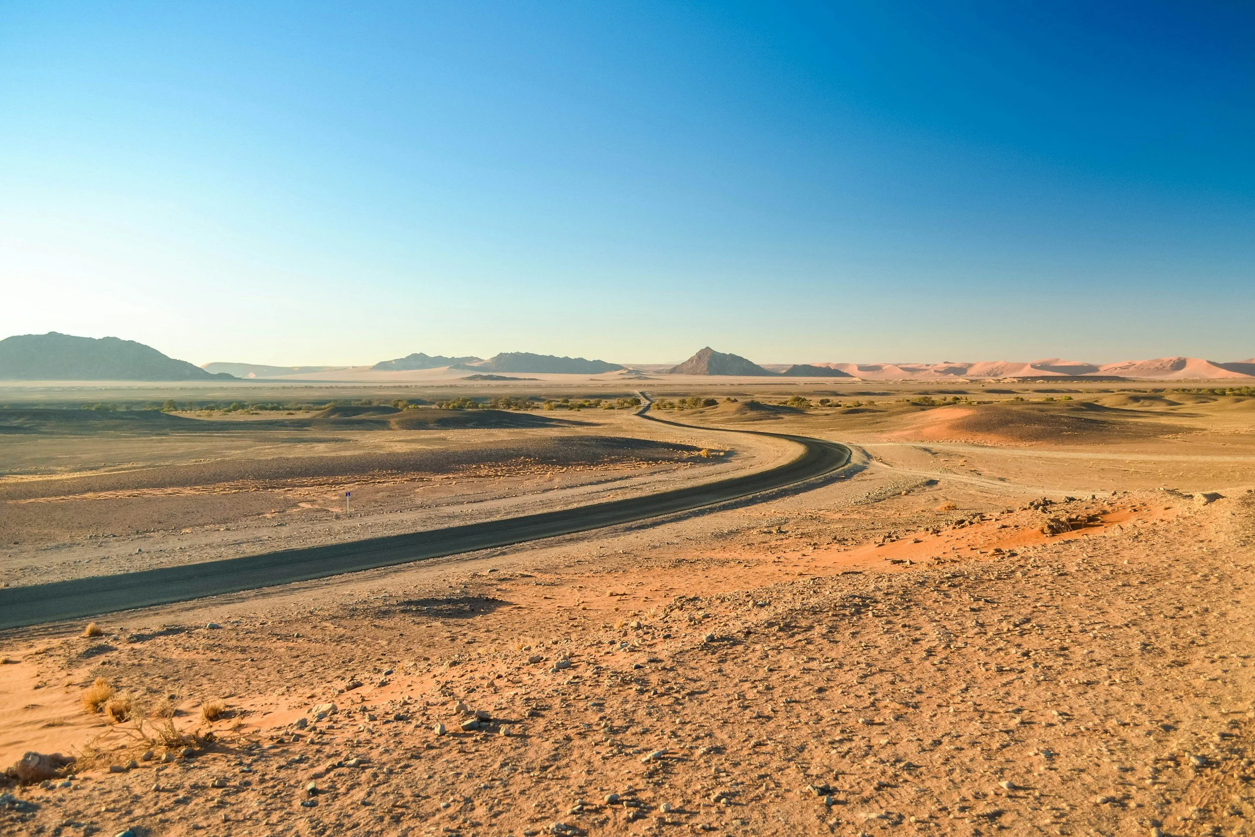 A desert landscape with a winding dirt road, sparse vegetation, distant mountains, and a clear blue sky.