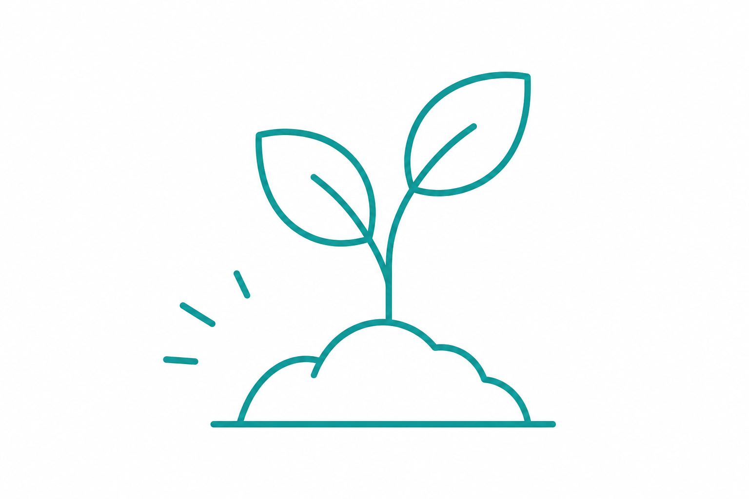 Illustration of a young plant sprouting from the ground, symbolising the Foundation package and the early stages of business growth.