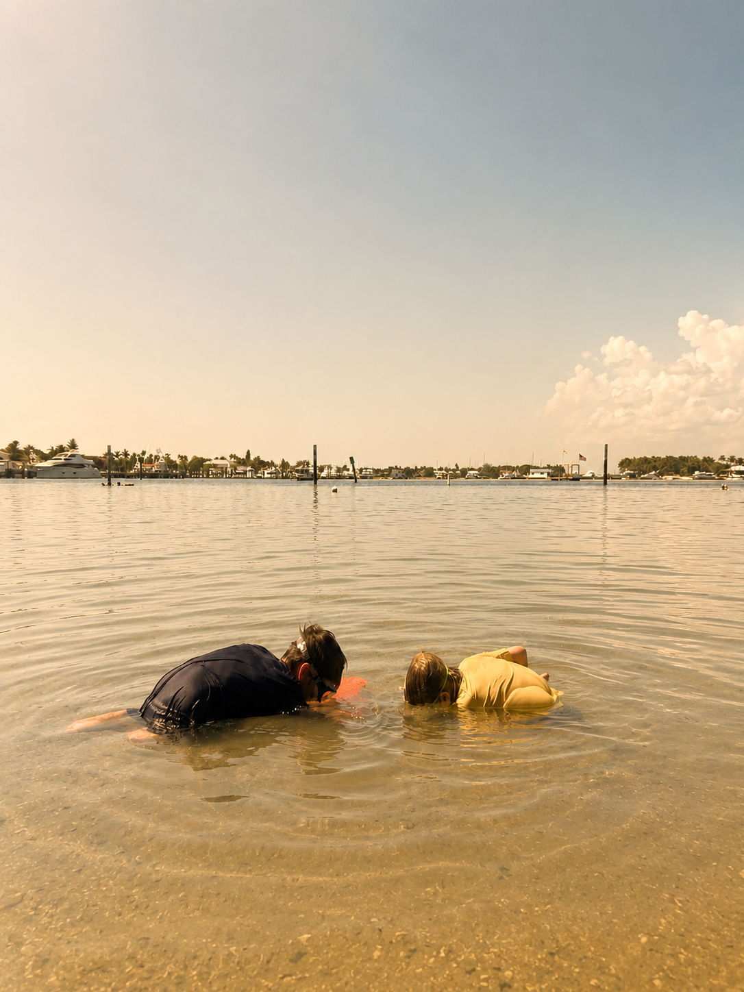 The Best Florida State Parks for Beginner Homeschool Families