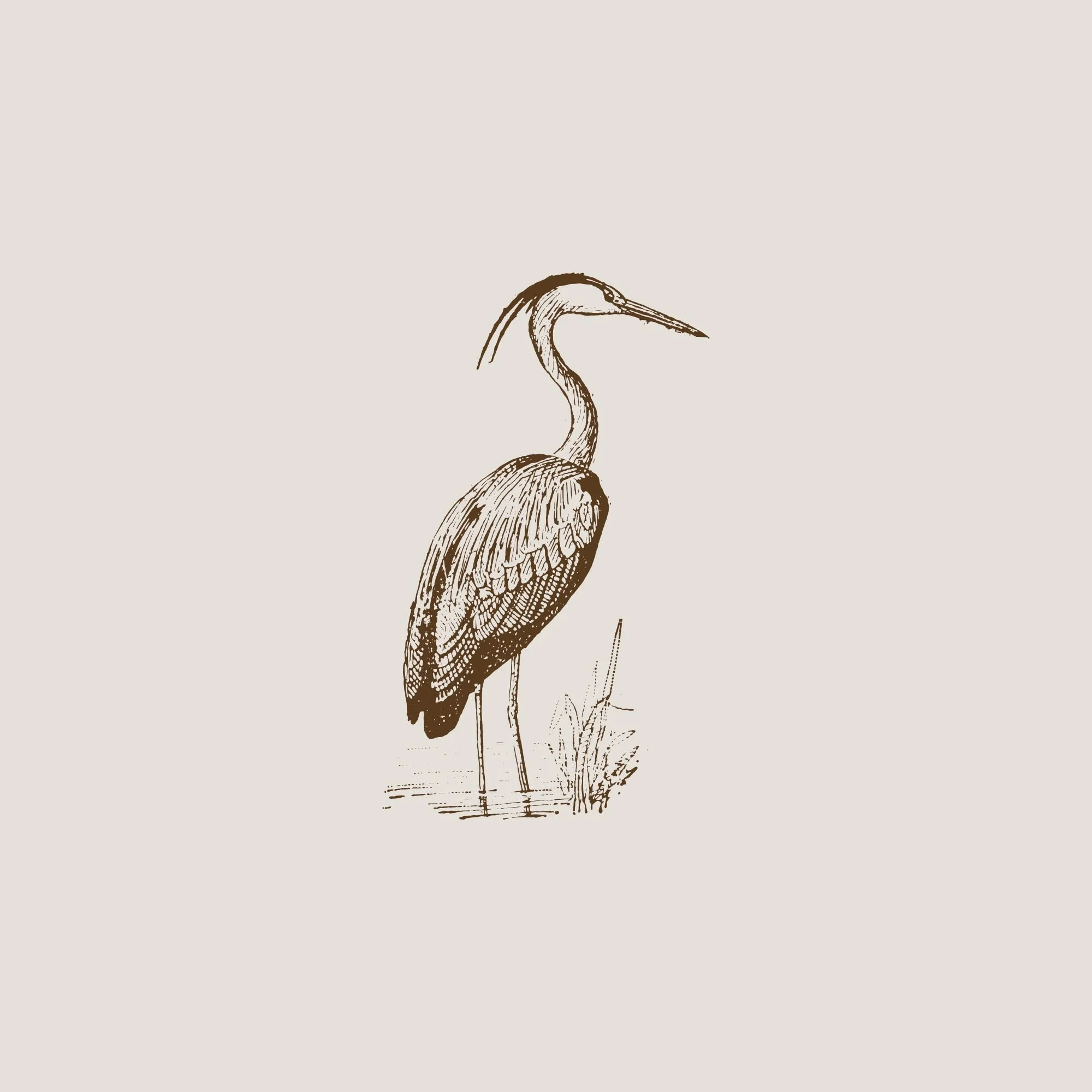 A vintage-style drawing of a heron standing on one leg with a leaf in its beak, set against a light beige background.