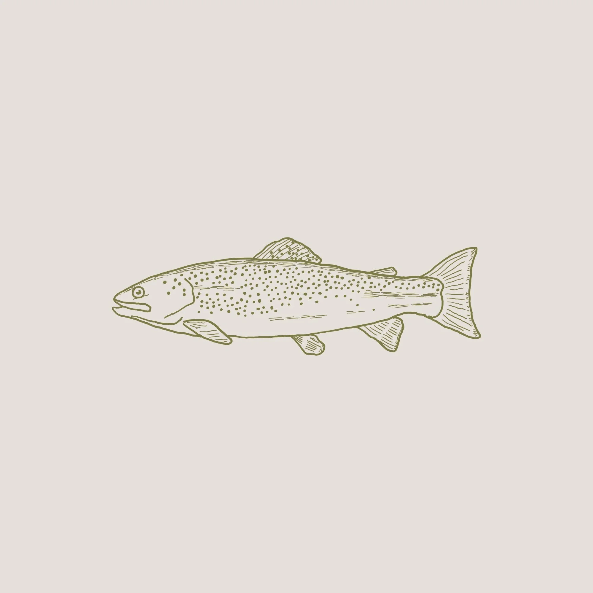 A hand-drawn illustration of a fish, likely a trout, with detailed fins and spots, on a light beige background.