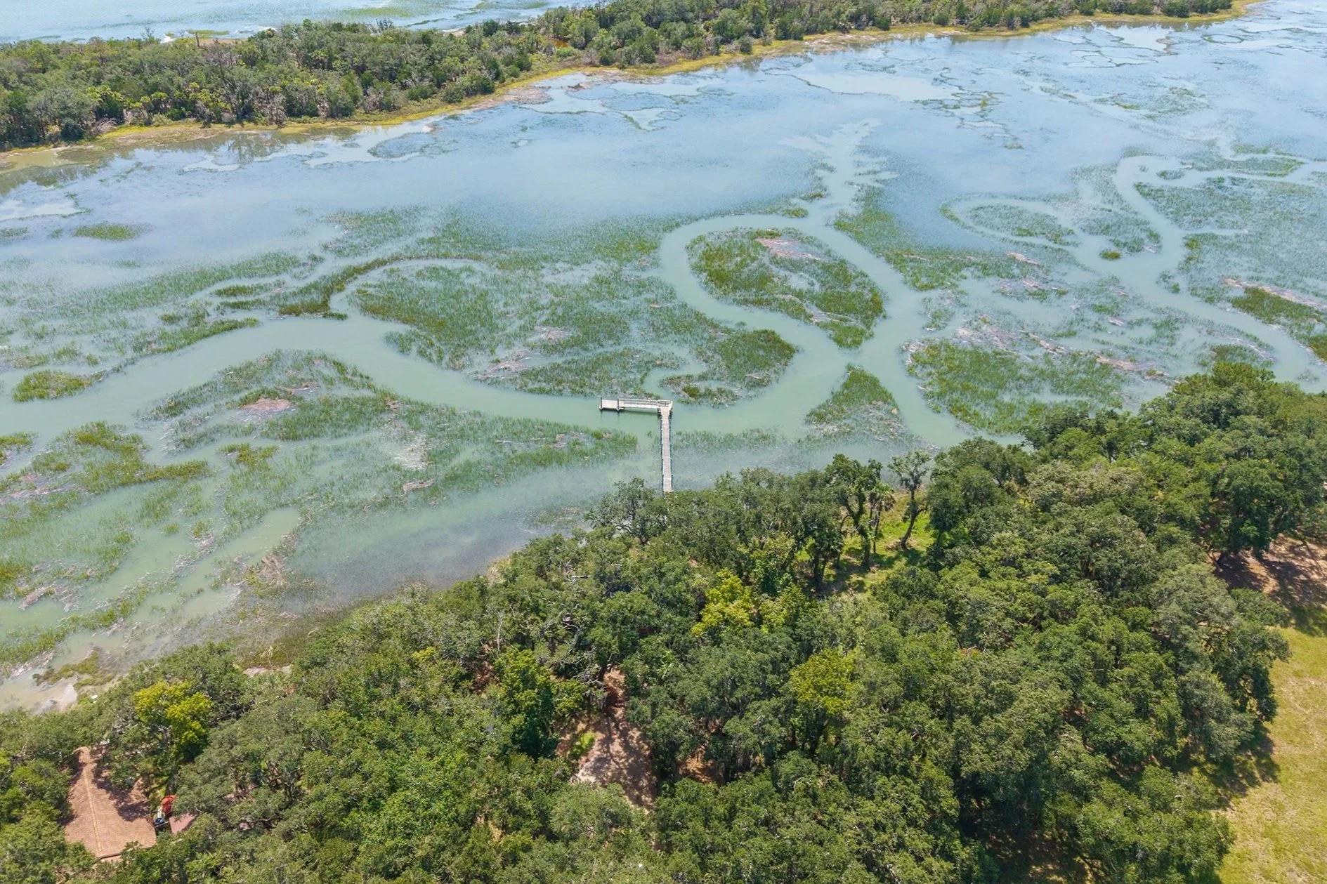 An aerial view of a coastal wetland with winding waterways, patches of green vegetation, and surrounding forested area.