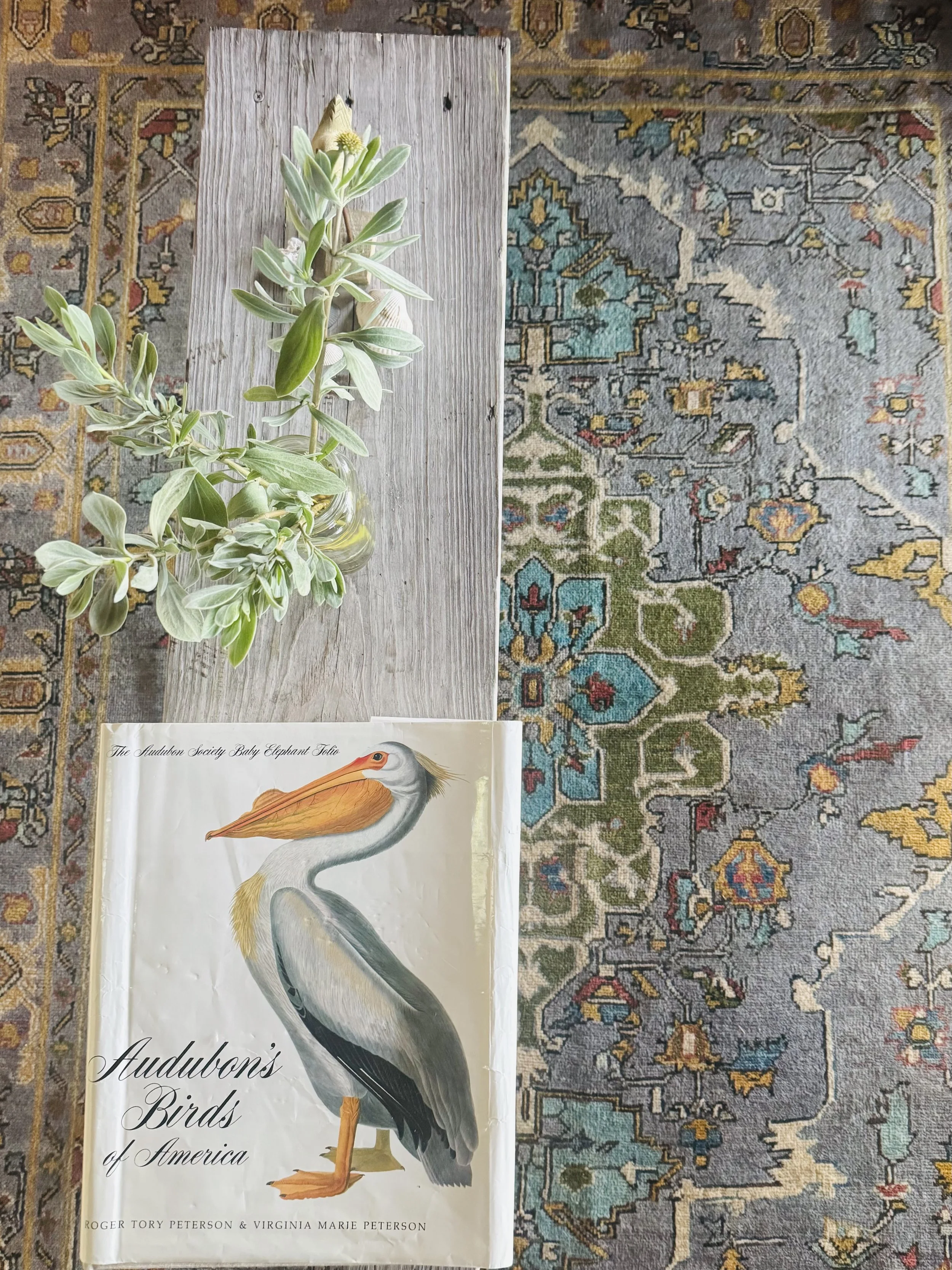 A book titled "Audubon's Birds of America" featuring a detailed illustration of a bird, resting on a wooden surface with a patterned rug underneath.