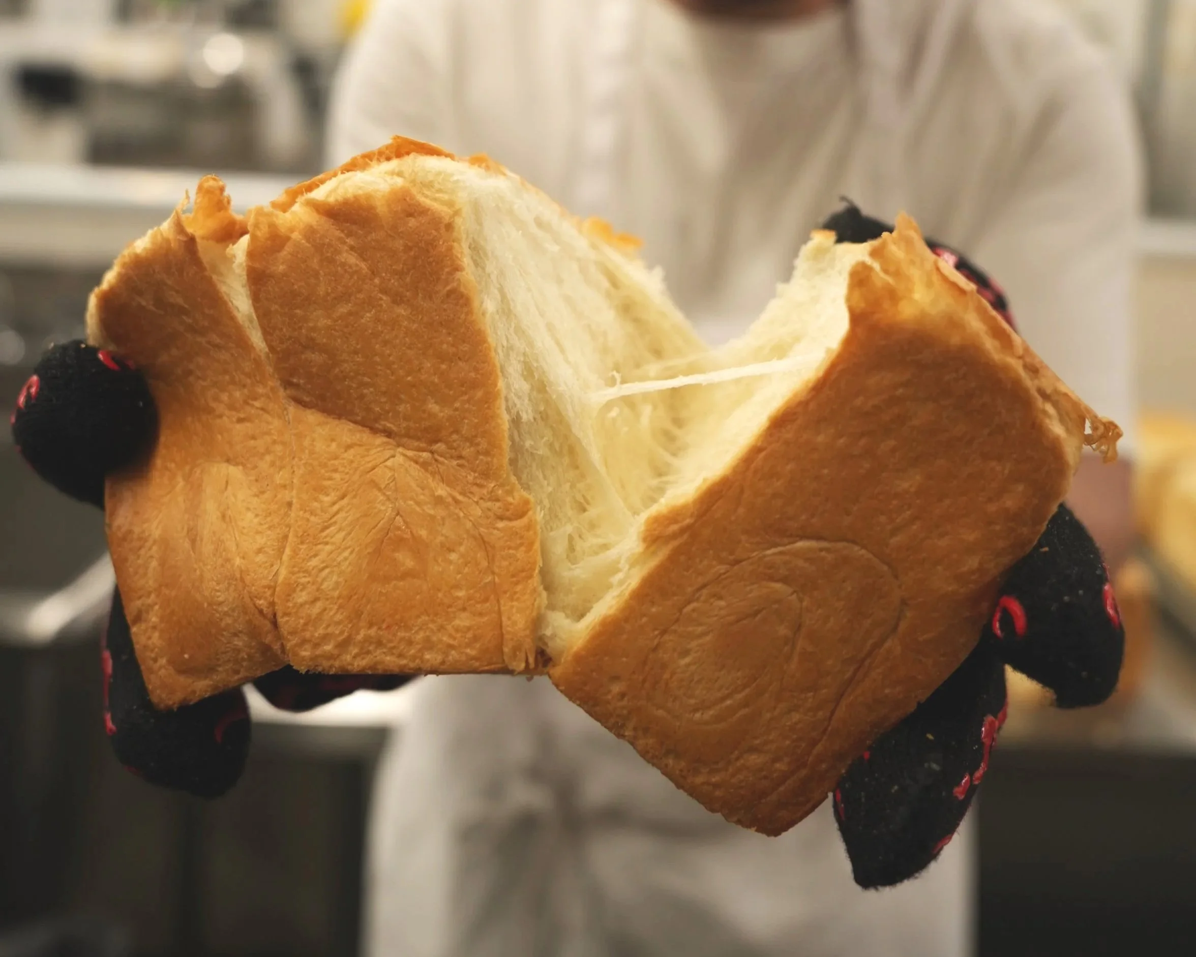 Close-up of a person holding a large piece of bread with berries on a black glove with red stitching.
