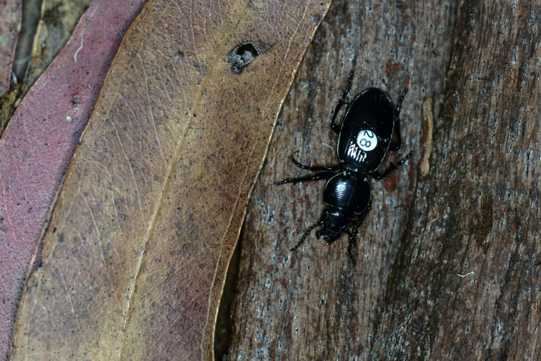 McAllisterM_Slides2_002.jpg