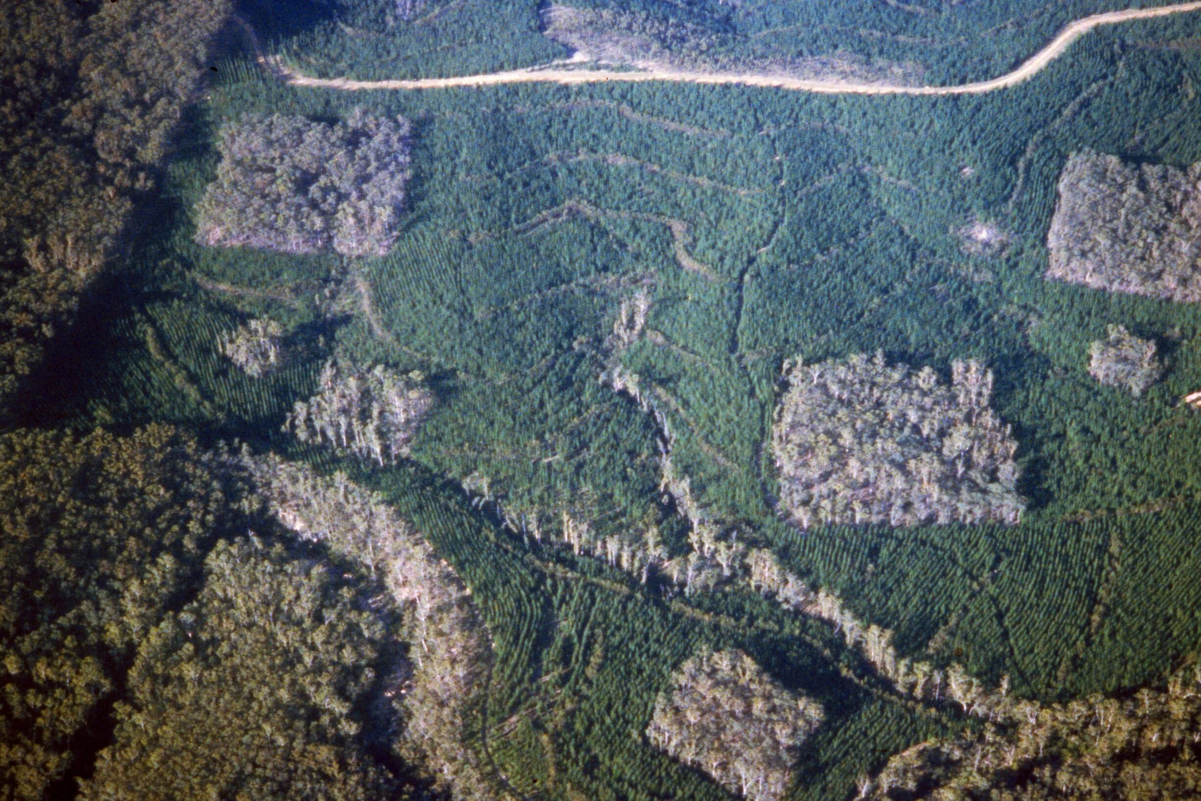 McAllisterM_Slides_1_021.jpg