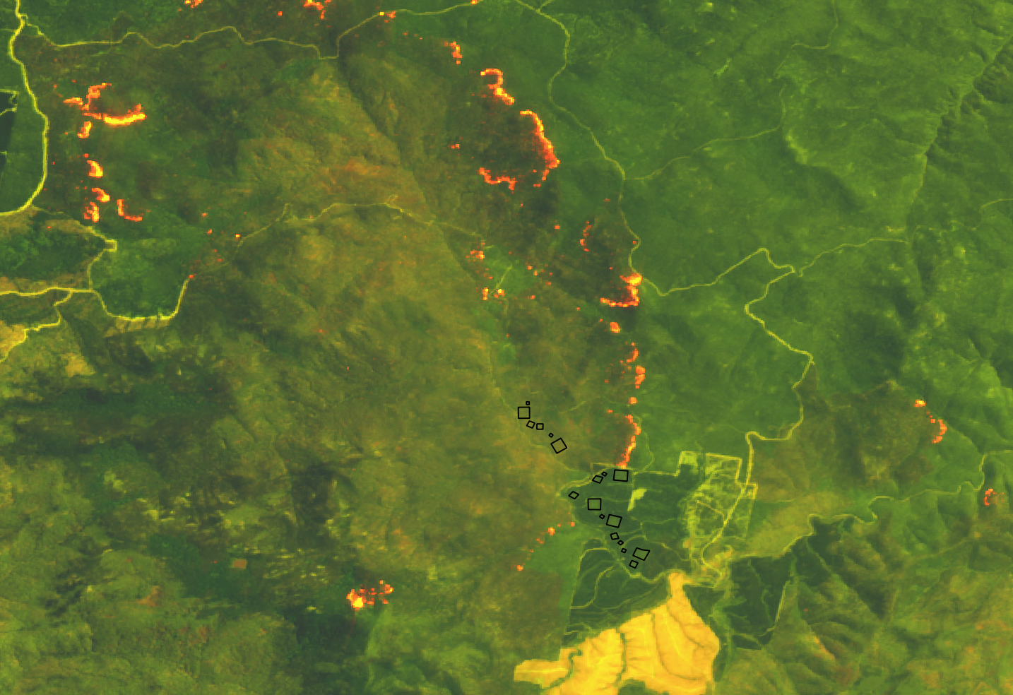 Australian Black Summer megafires burn through the Wog Wog habitat fragmentation experiment, 2020.