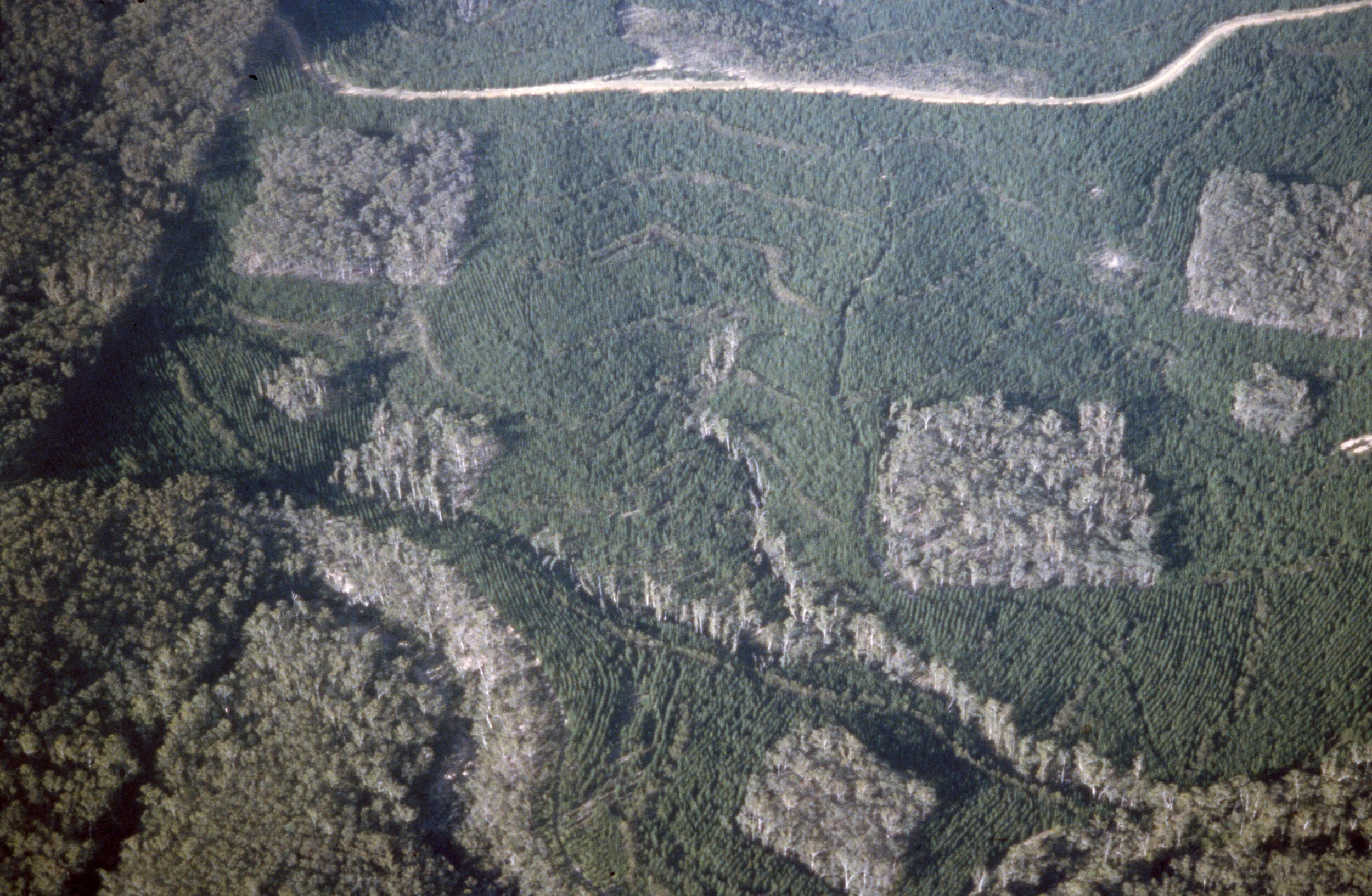 McAllisterM_Slides_1_021.jpg