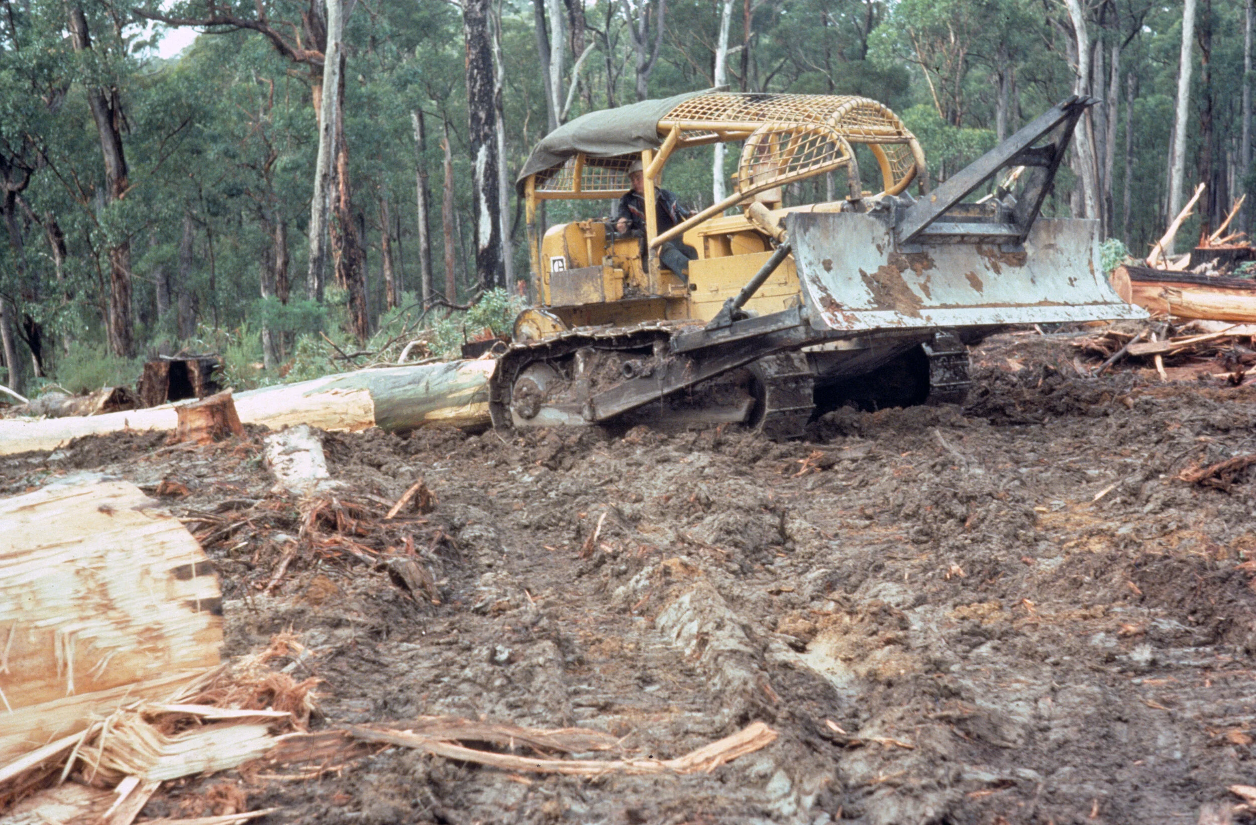 McAllisterM_Slides_1_015.jpg