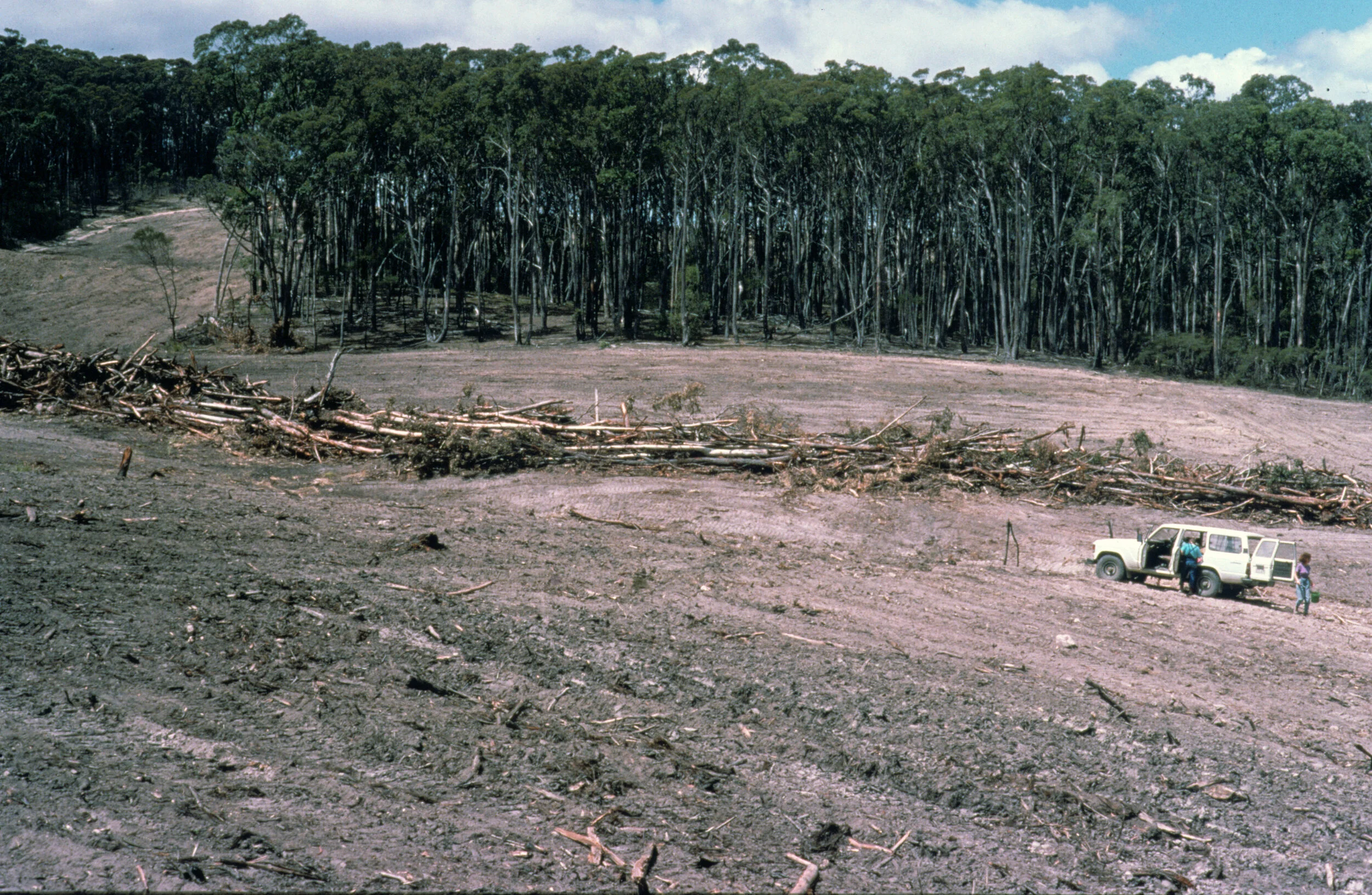 McAllisterM_Slides_1_020.jpg