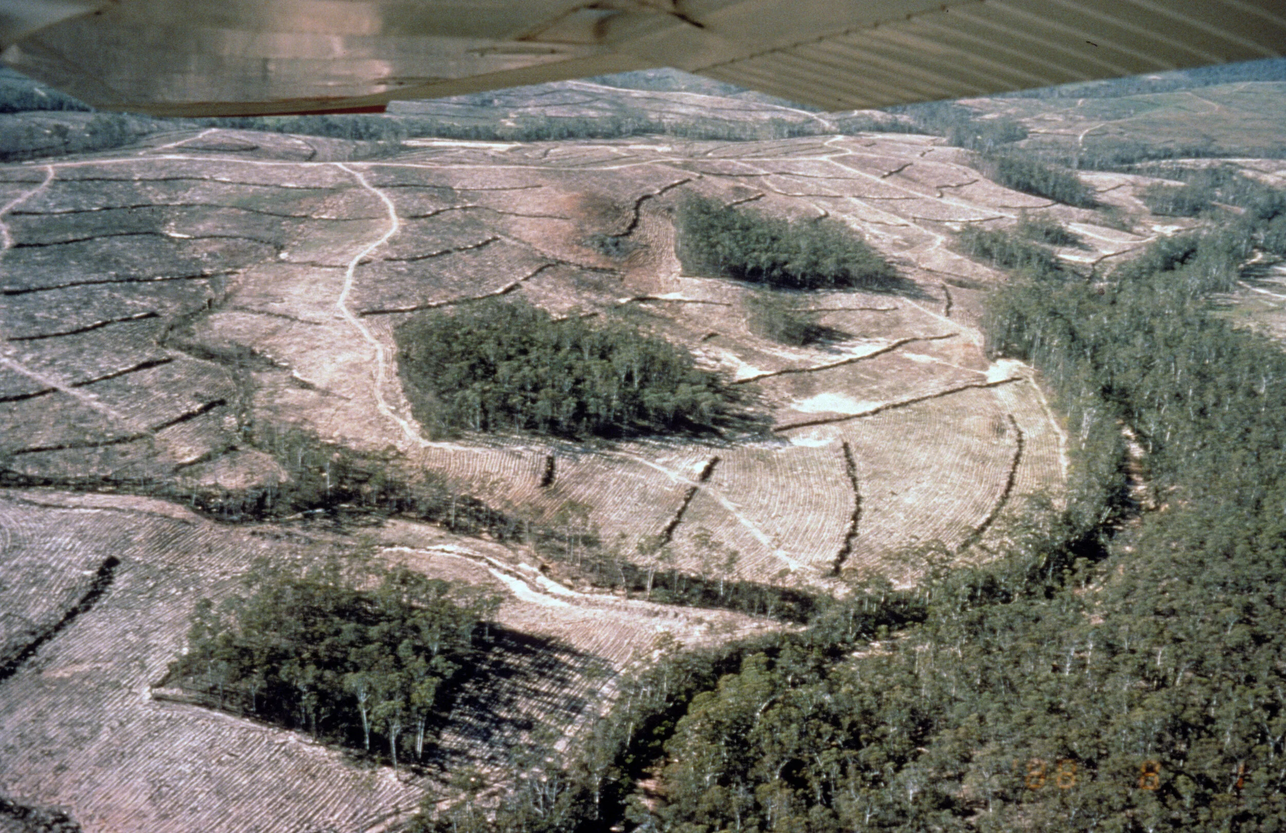 McAllisterM_Slides_1_019.jpg