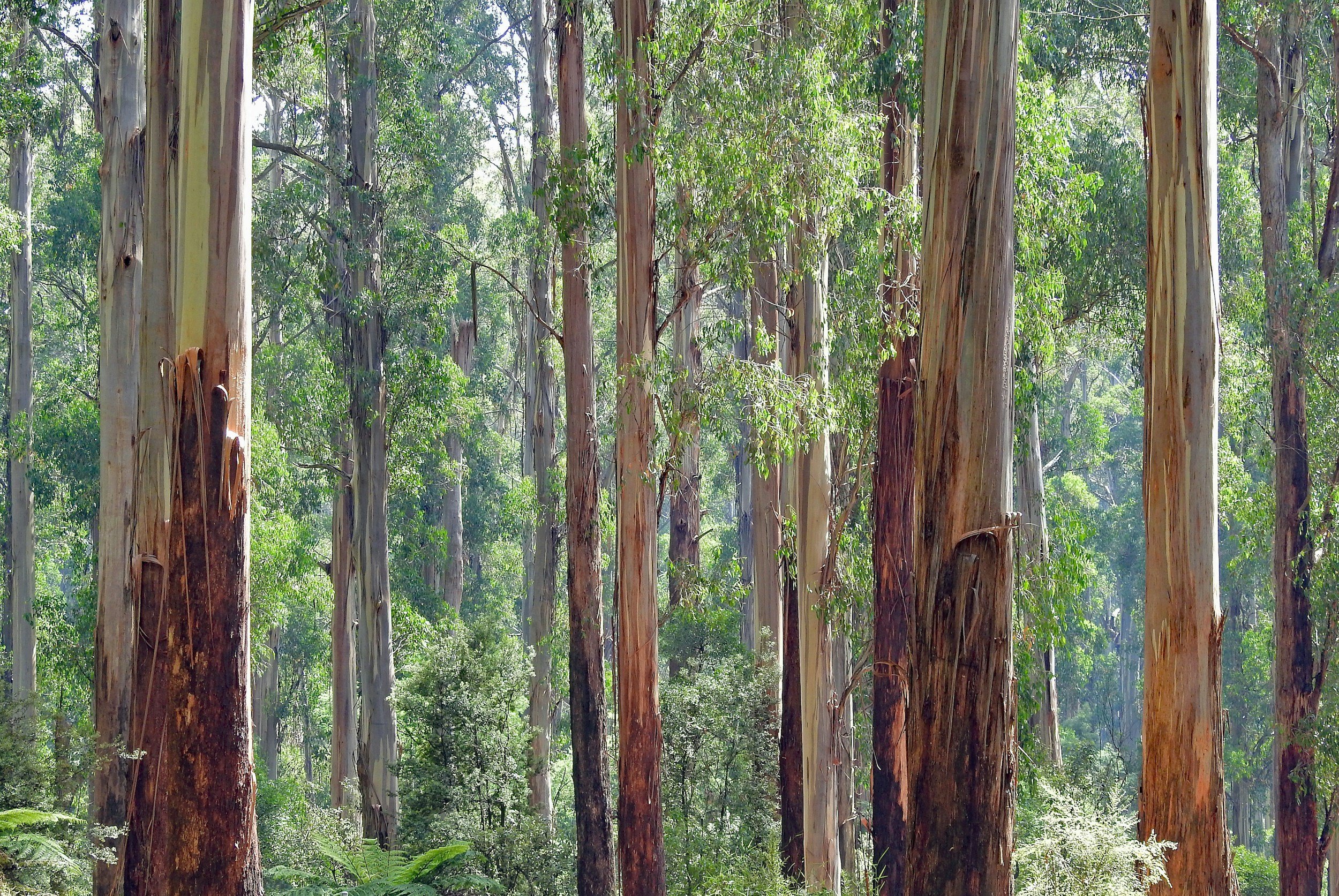 PhD student Matt Bitters successfully defends PhD 
