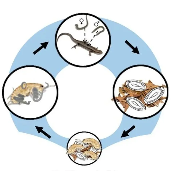 Two new lab publications