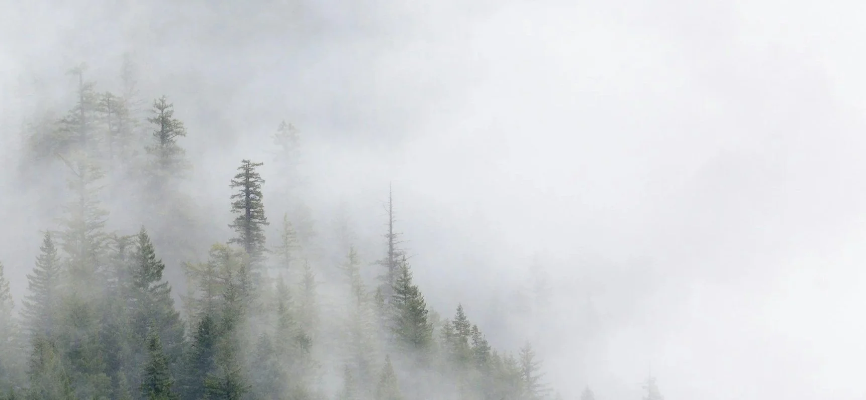 unsplash-image-U-Dhokv9iXk.jpg