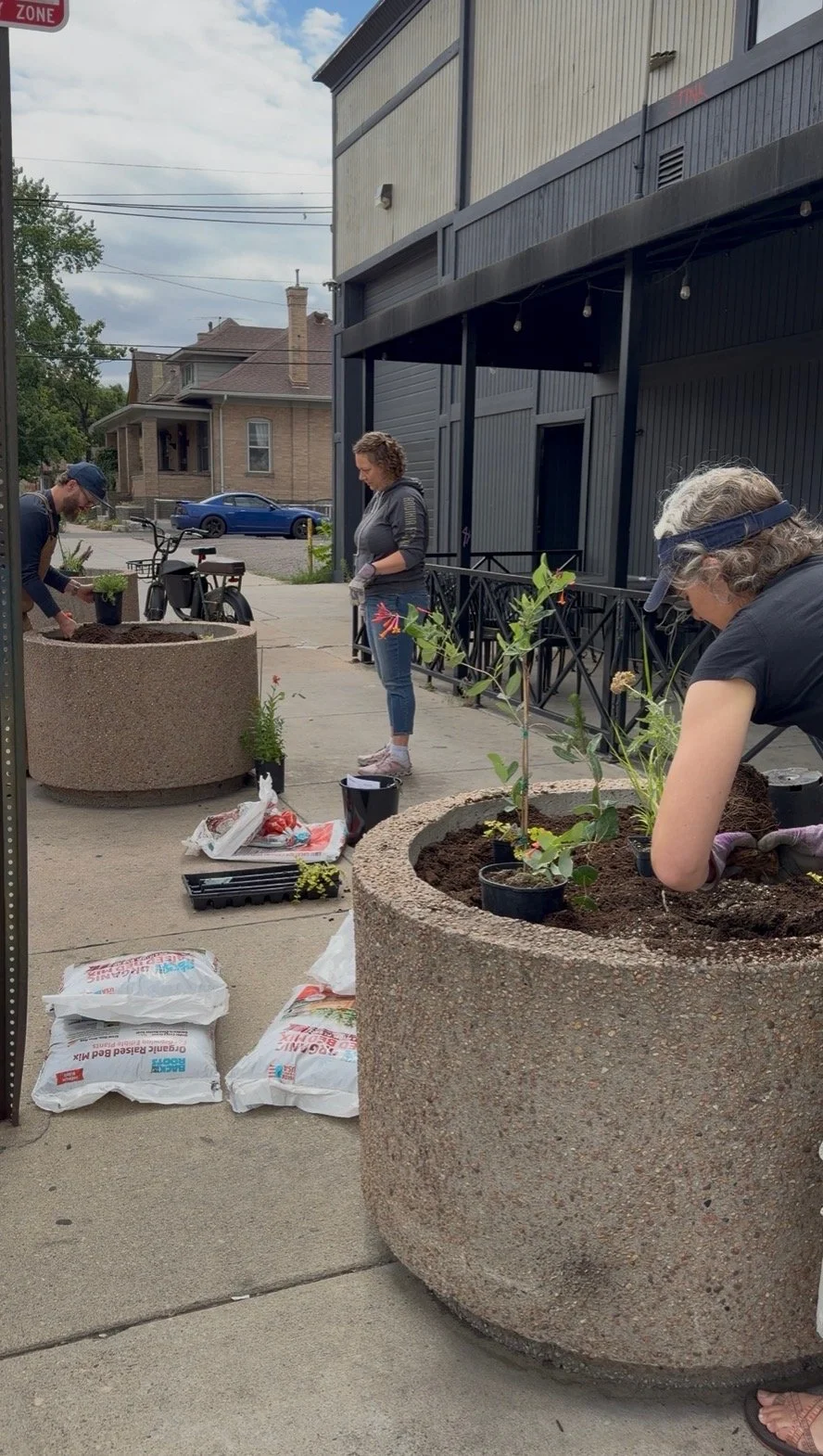 Three people planting flowers in large concrete planters on a sidewalk in an urban area.