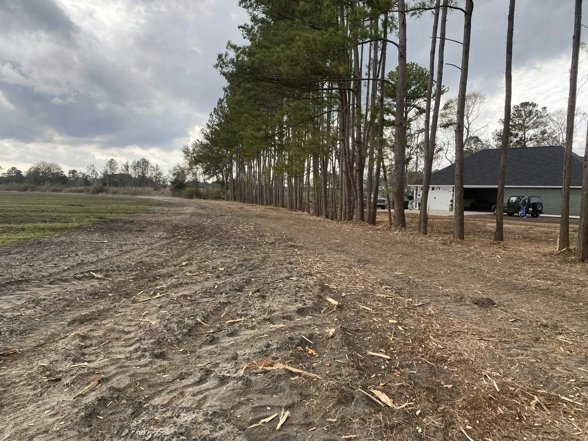 A backyard scene with a dirt patch in the foreground, a row of tall pine trees to the right, and a house with a garage, cars, and a person in the driveway to the right. The sky is cloudy.