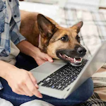 How Tracking Your Dog’s Behavior Can Help You See Real Progress