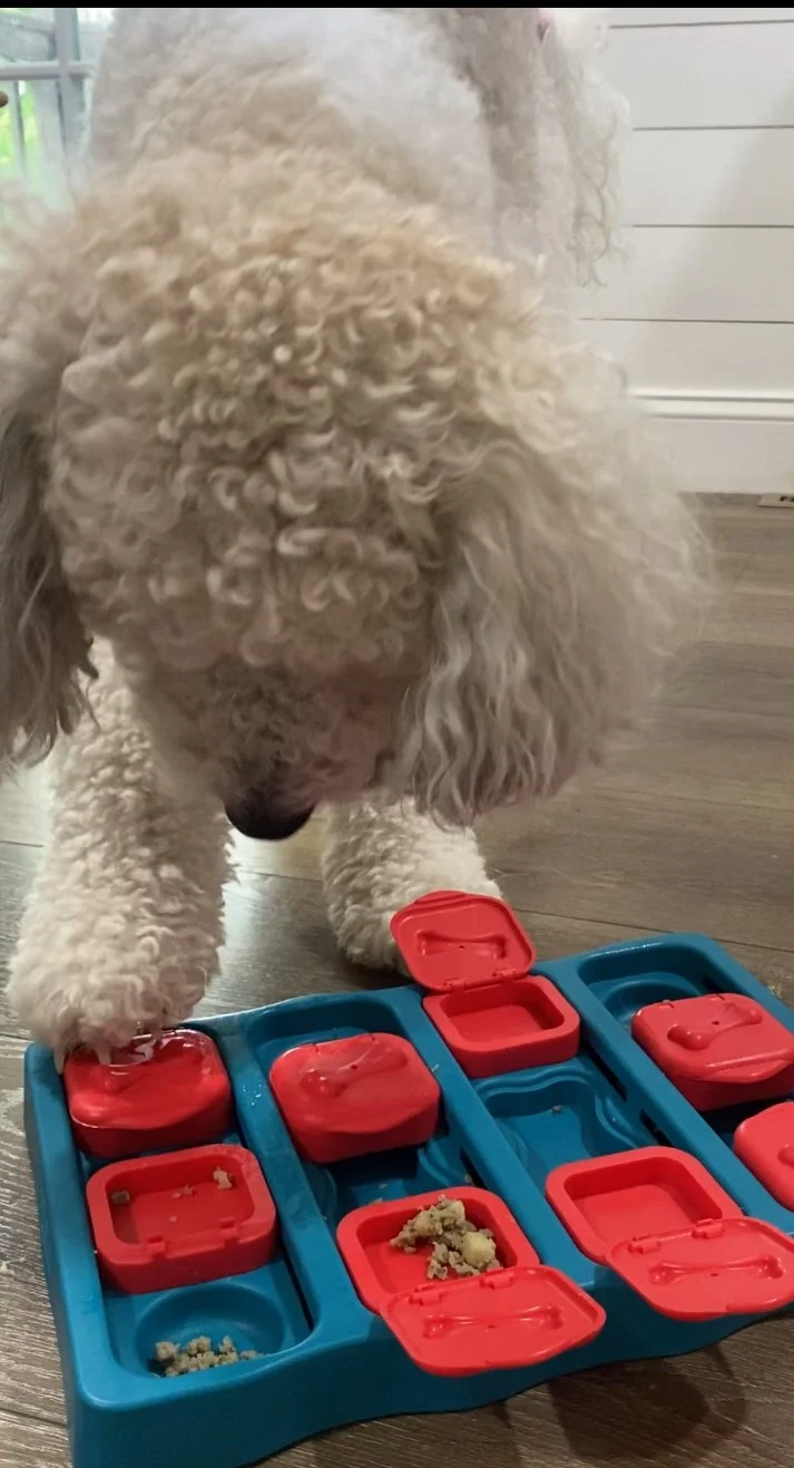 Transforming Problem Behaviors with the Power of Enrichment