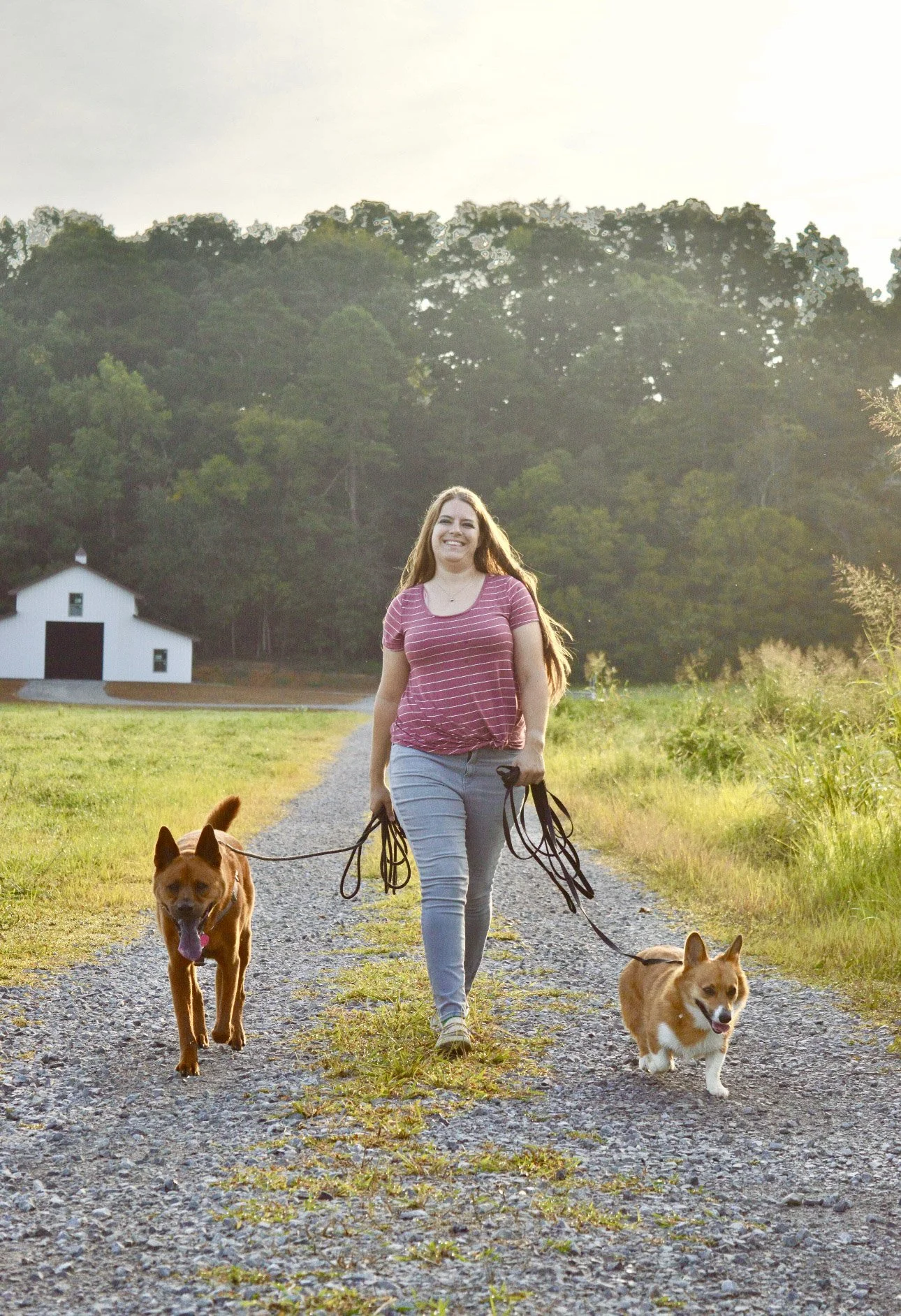 More Than Just Dog Training-What I Want You To Know About Working With Me