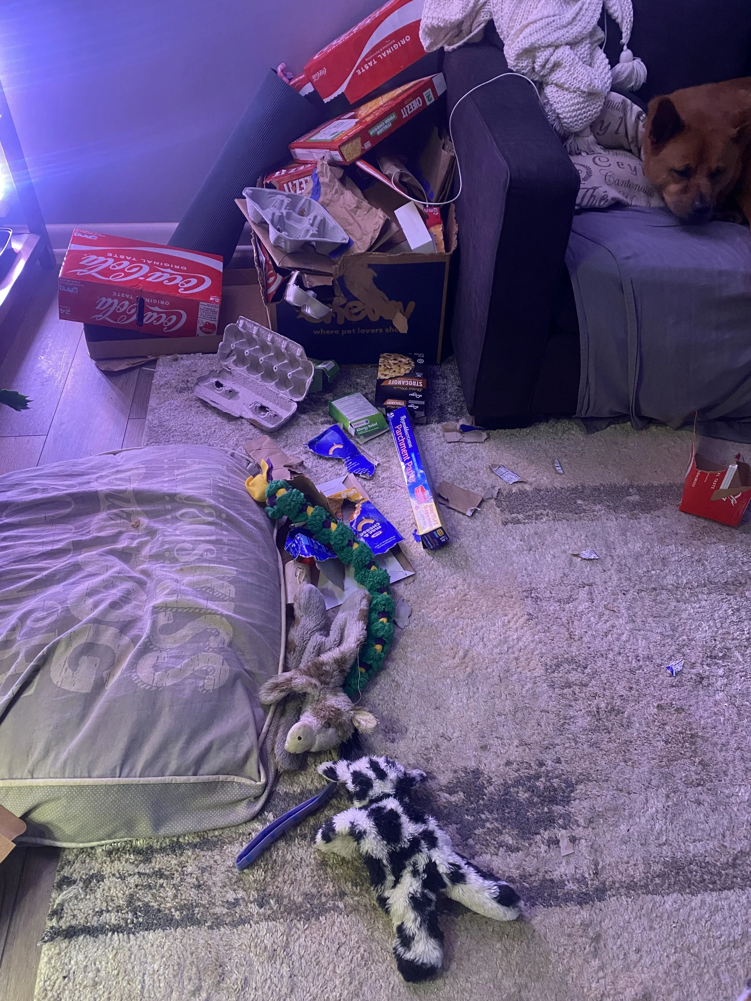 Pile of cardboard overflowing out of a box and onto the floor. Mixed in with the pieces on the floor are some fuzzy dog toys.