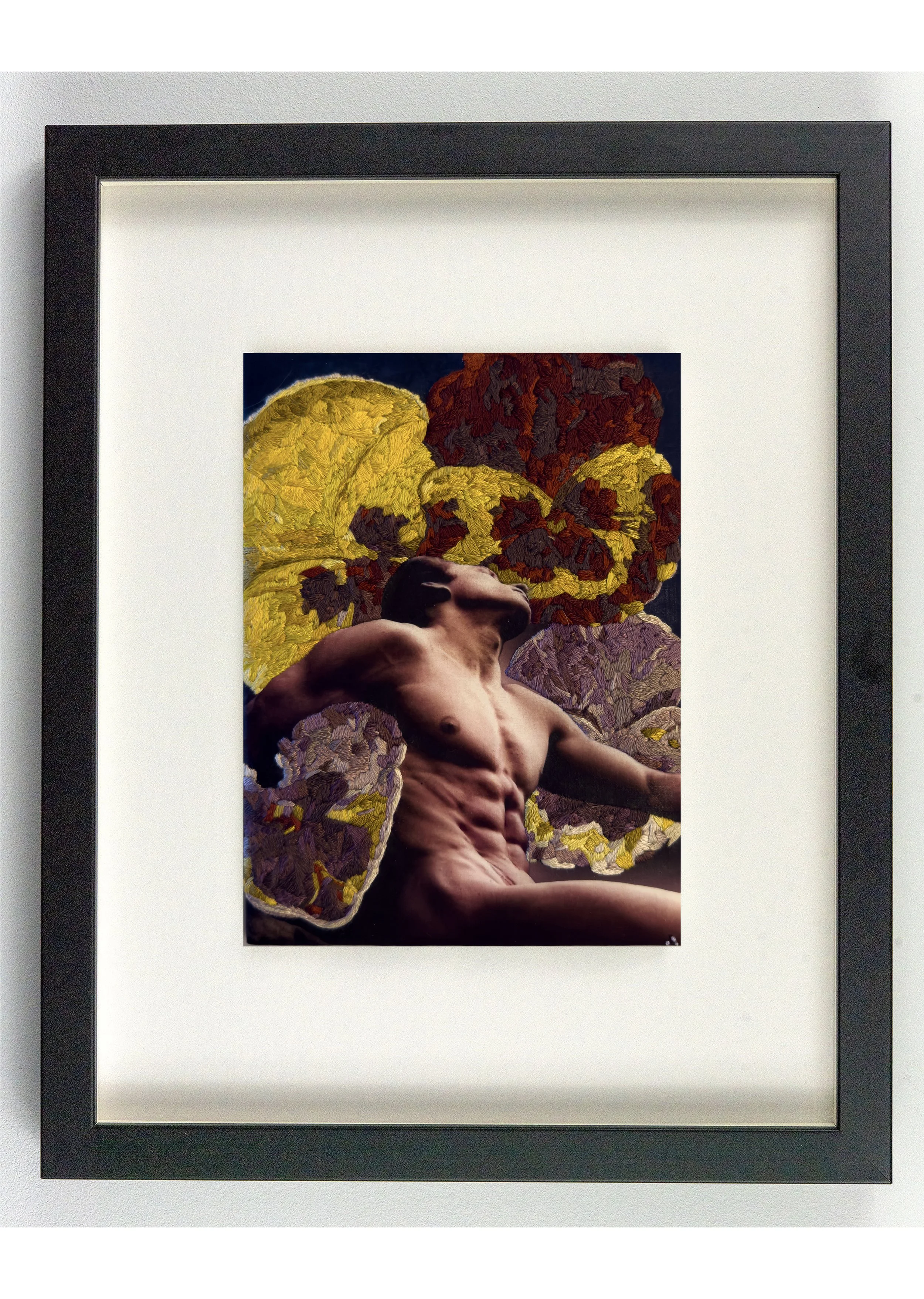 Pansies framed in black, original queer art by Vancouver artist Paul Gravett.