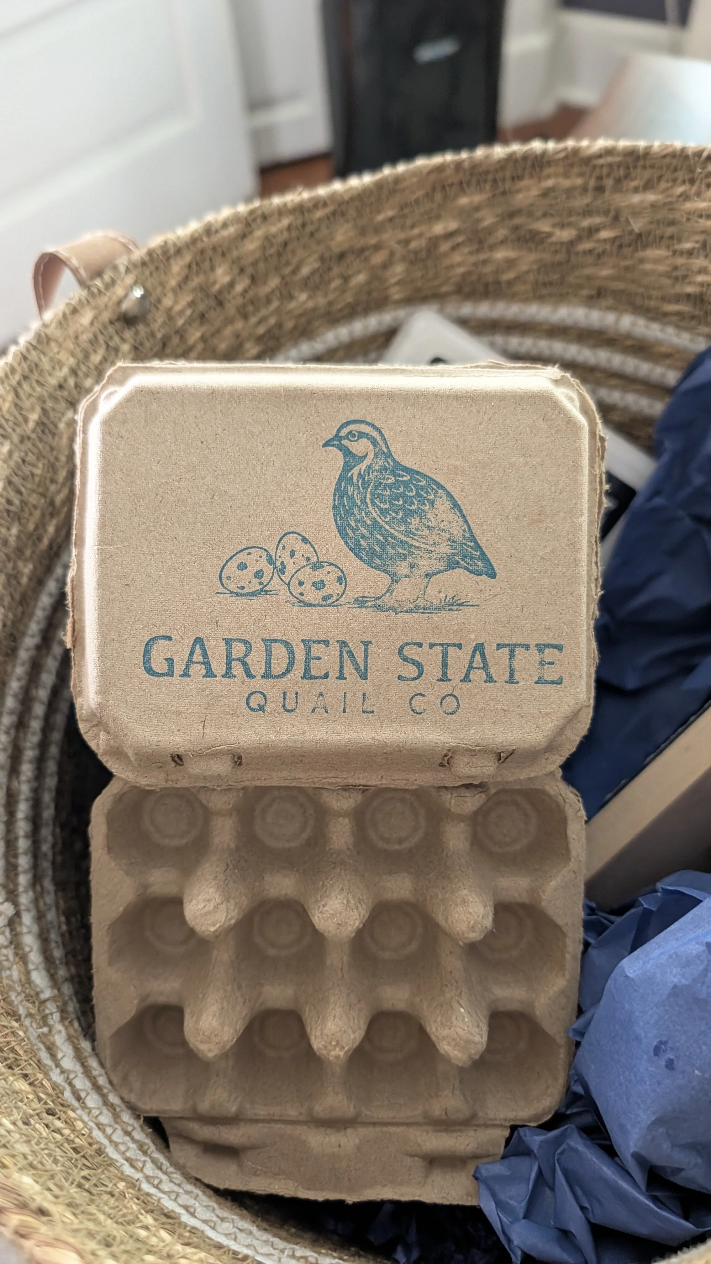 Fresh Eggs