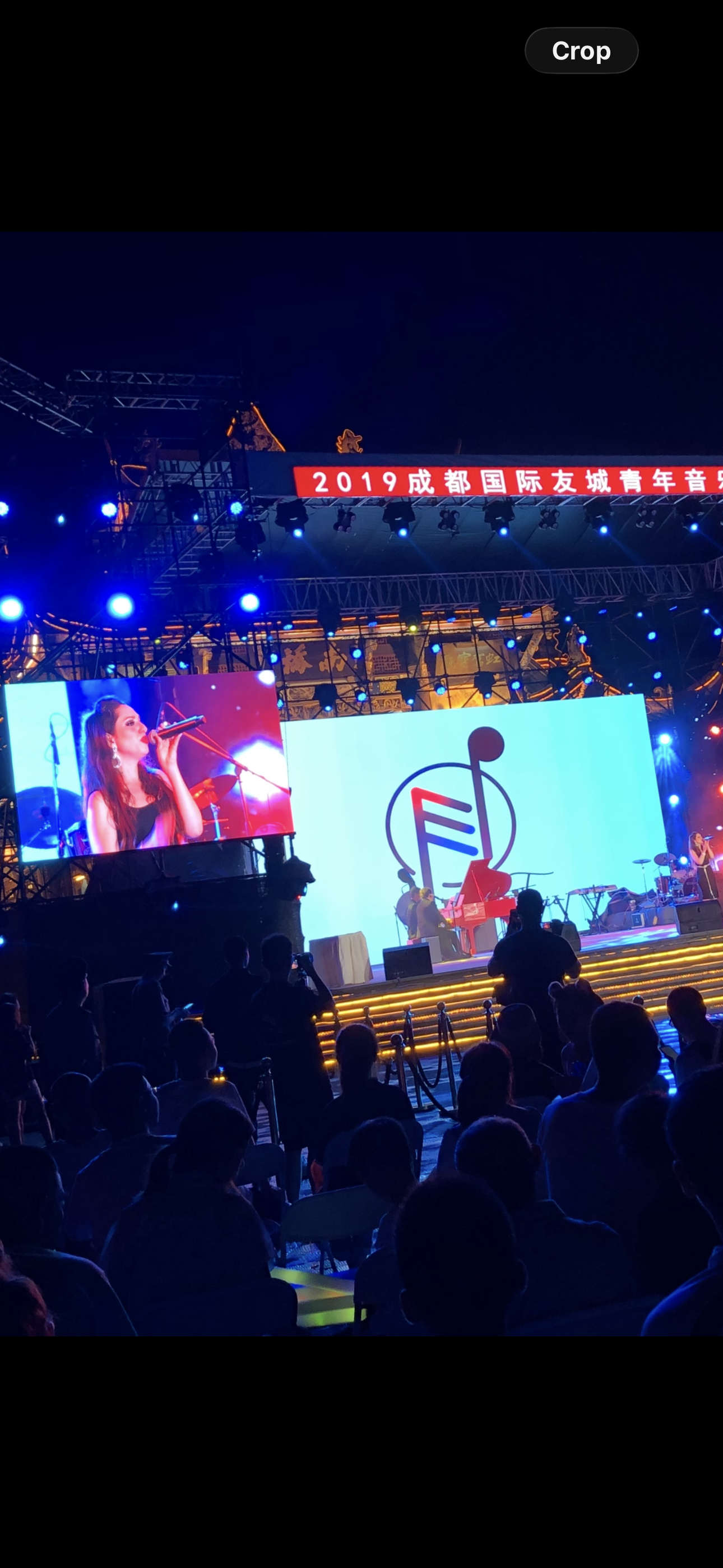 Stage with large screens displaying a female singer with a red microphone, and a logo with a musical note and musical staff. Audience seated below at night during a concert with blue lighting. Red banner with white Chinese characters and the year 2019.