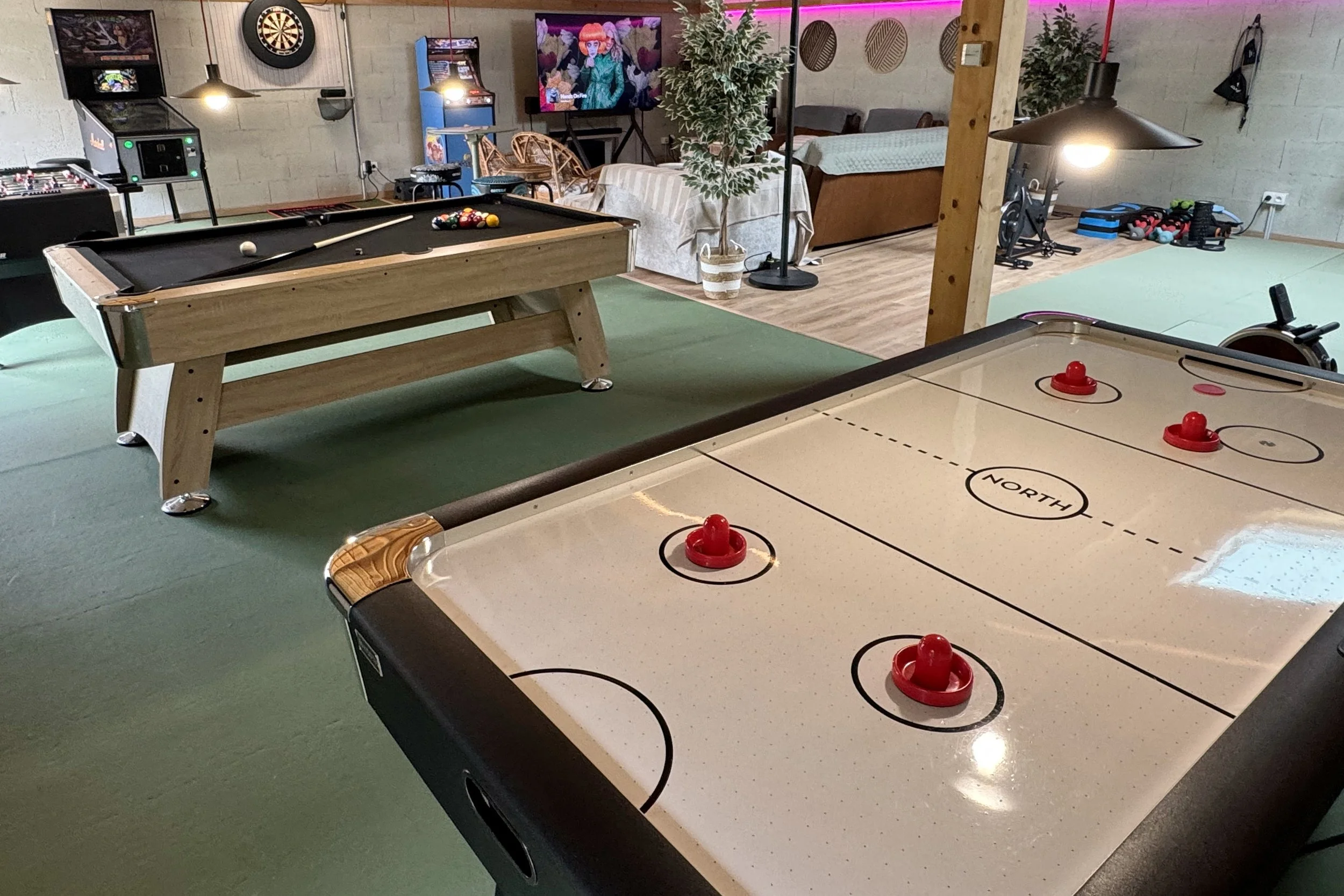 Une salle de jeux avec un billard, une table de hockey sur glace, une machine à jeux vidéo, un tableau de fléchettes, une télévision affichant un dessin animé, un tapis de sport, des plantes décoratives, des meubles comme un canapé et une table recouverte d'une nappe.