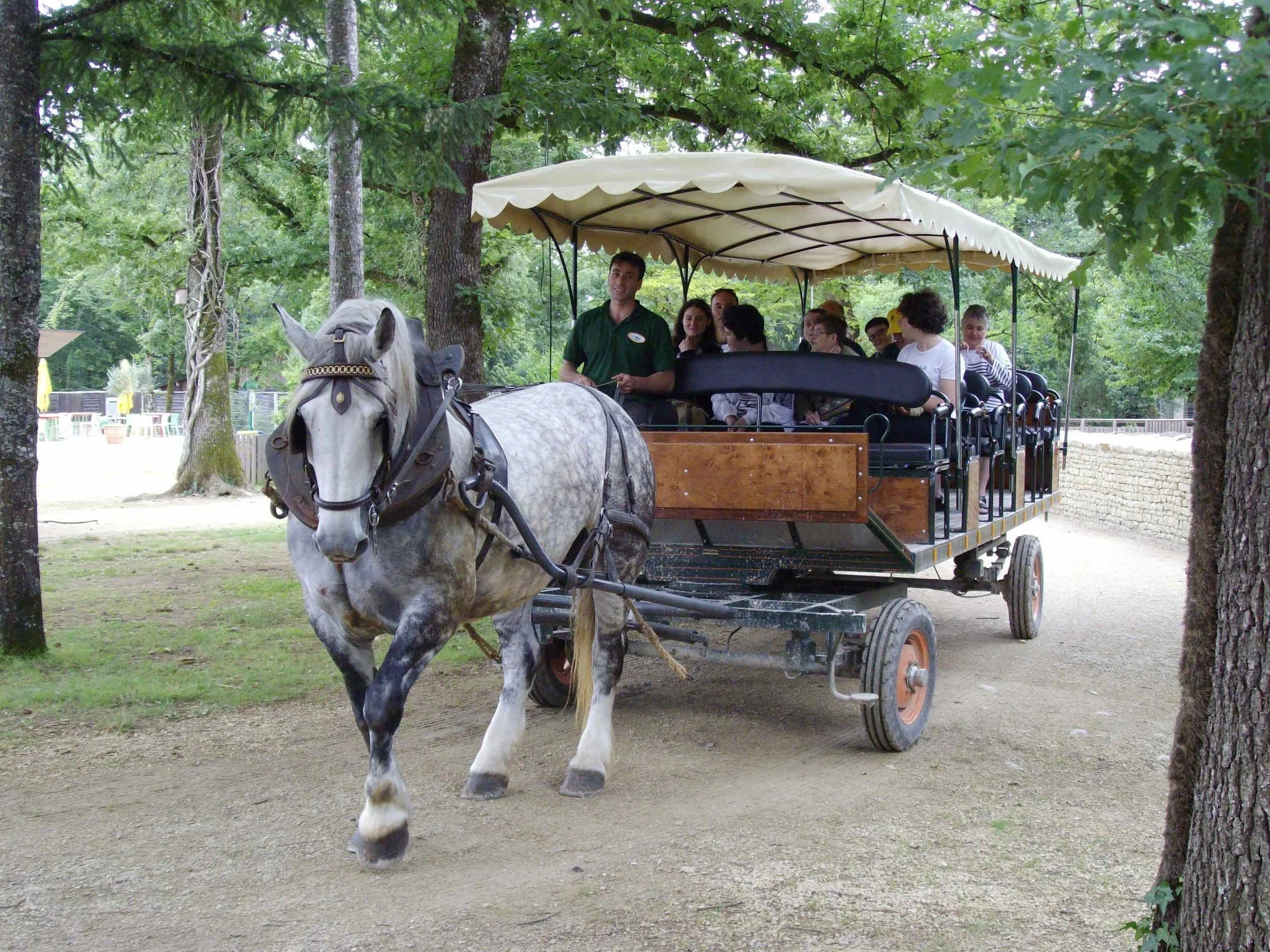 Une calèche tirée par un cheval gris parcourt un chemin dans une forêt verdoyante avec plusieurs passagers à bord.