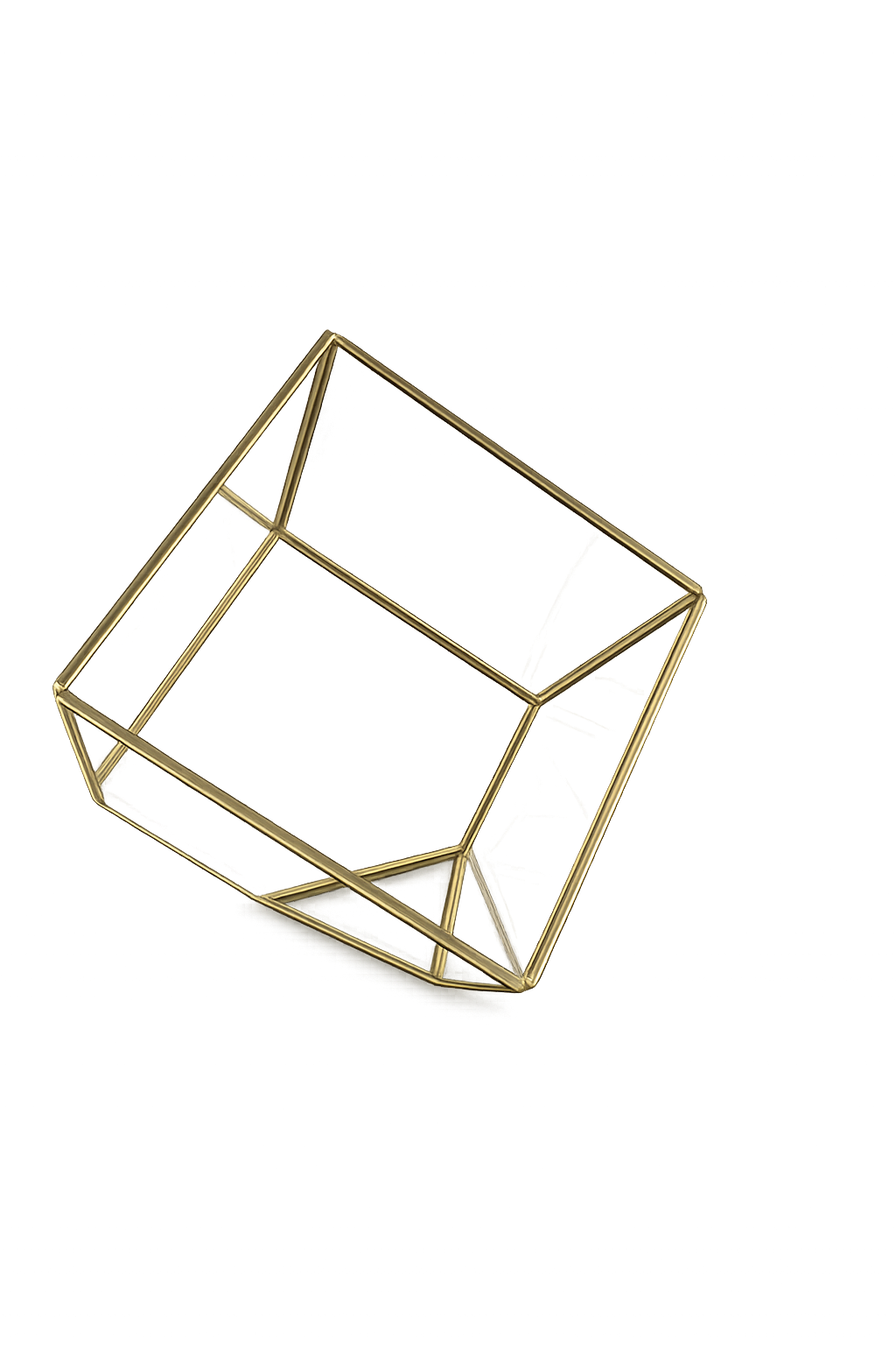 Glass & Gold Terrarium
