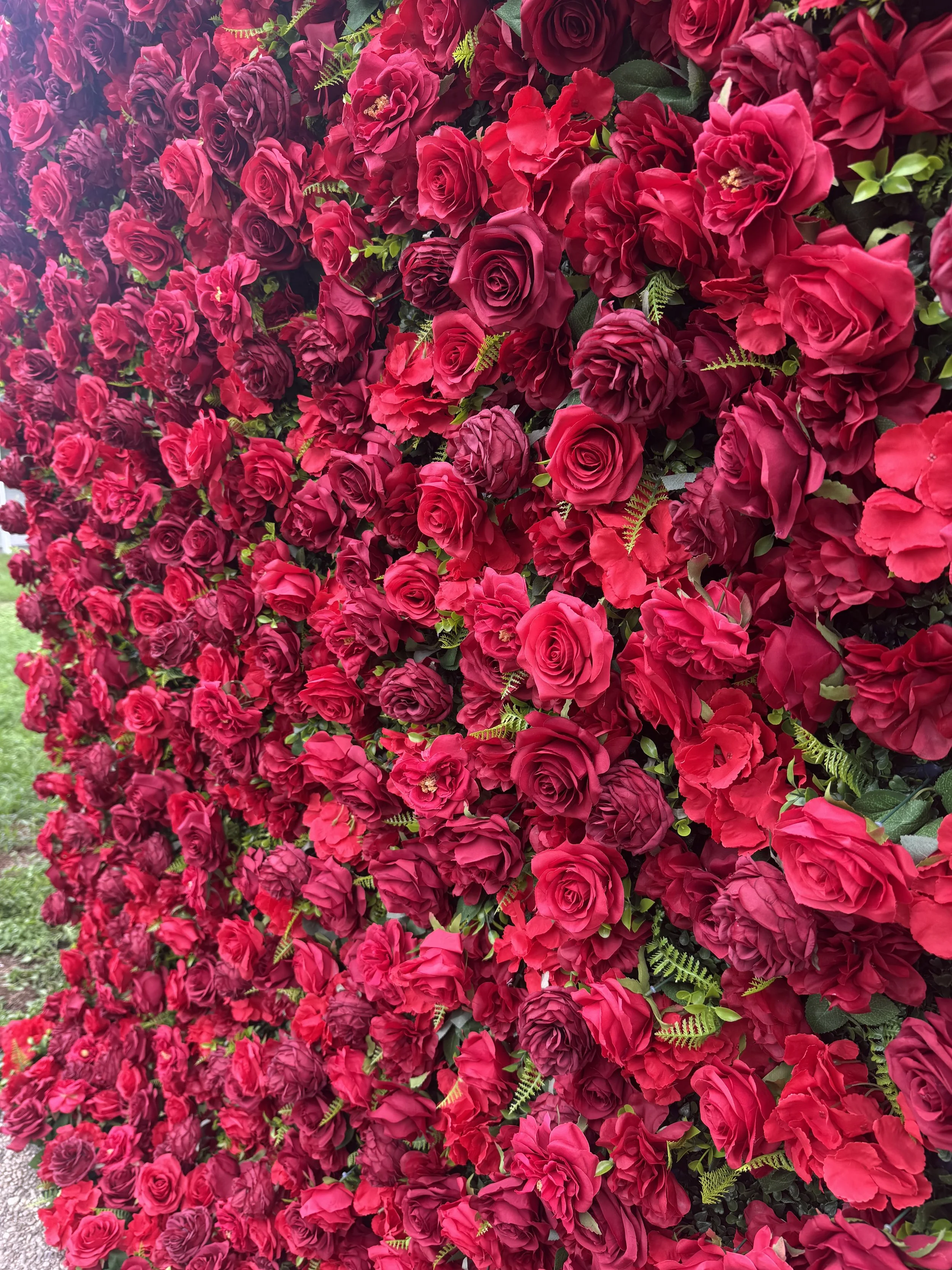 IMG_9578.jpeg