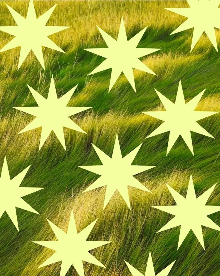 Multiple yellow star-shaped overlays on a background of green and yellow grass.