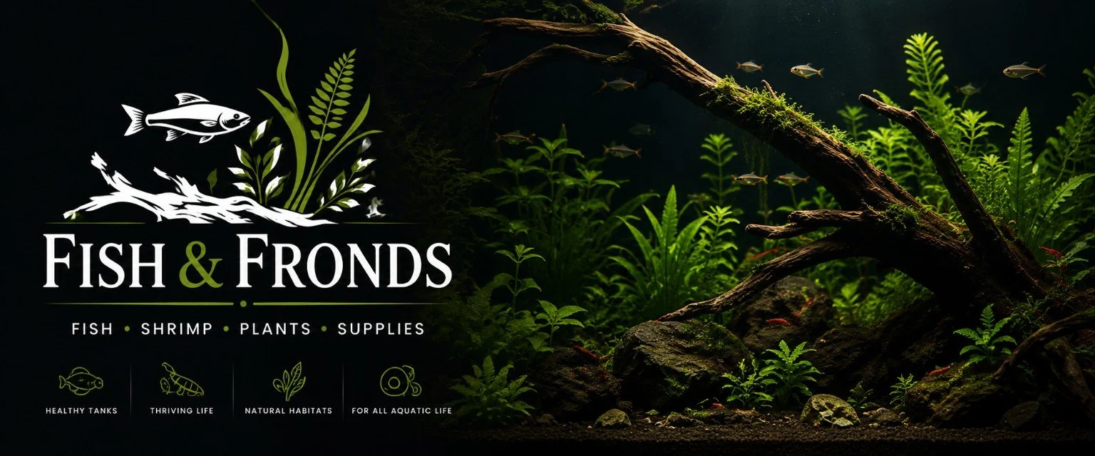 An advertisement for Fish & Fronds, a store selling fish, shrimp, plants, and supplies for aquariums. The background shows a lush, green underwater scene with aquatic plants, rocks, and fish.