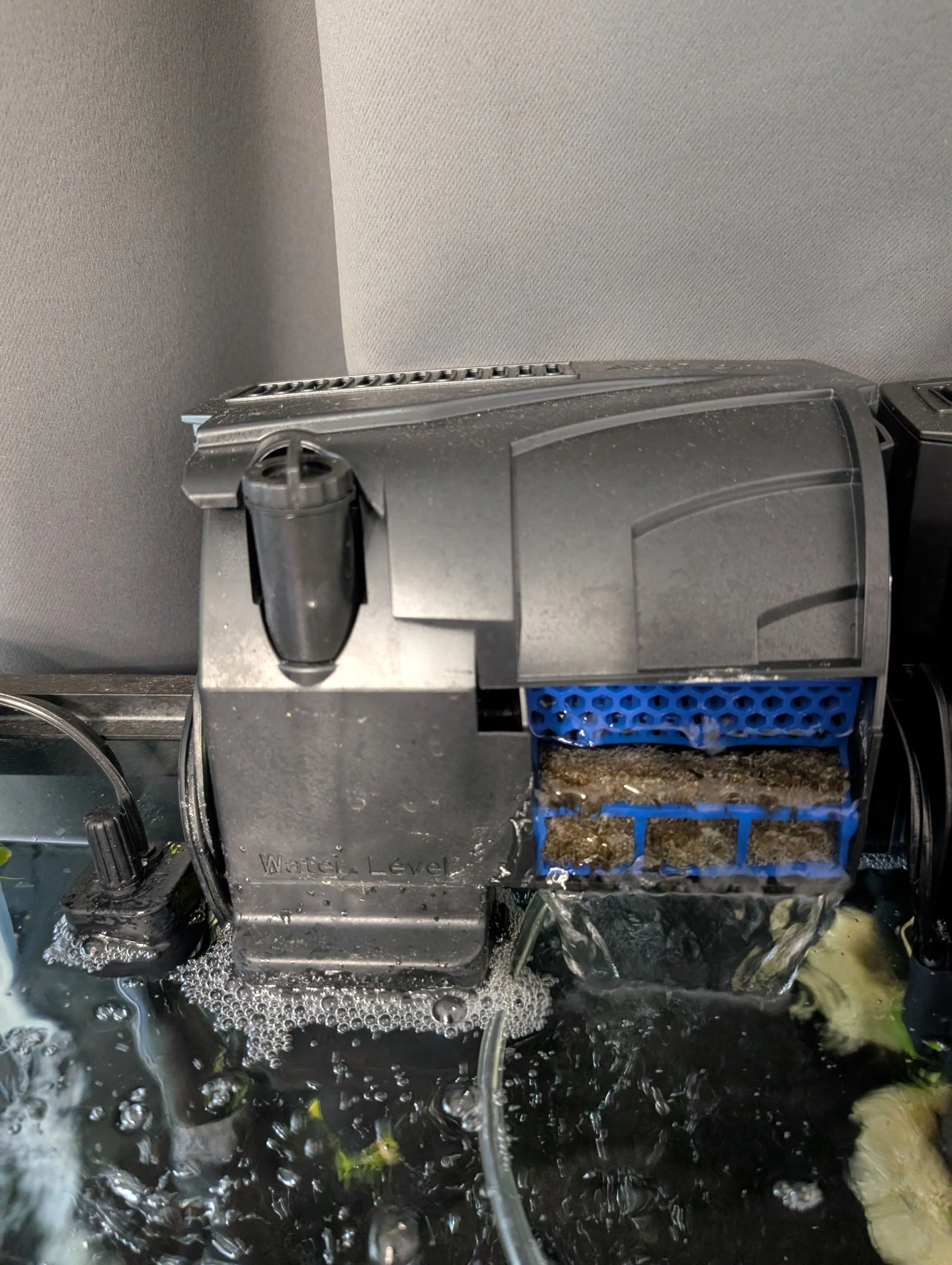 Pre-Seeded Aqeuon HOB Filter 20-30g w/ Fluval Media