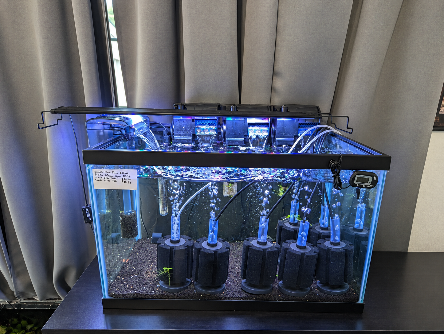 Pre-Seeded Sponge Filter 20-60g