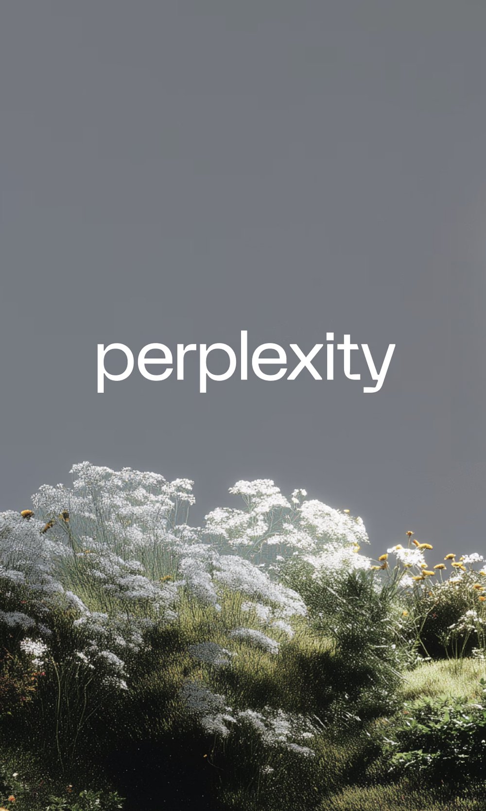 A garden with white and yellow flowers under a gray sky, with the word 'perplexity' in the center.