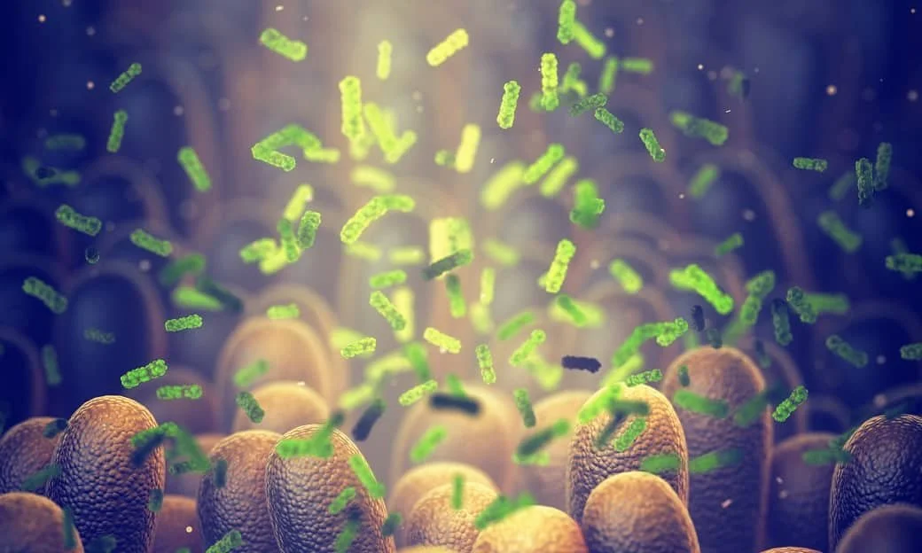 Practical Tips: Foods to Support Your Microbiome during Cancer Treatment