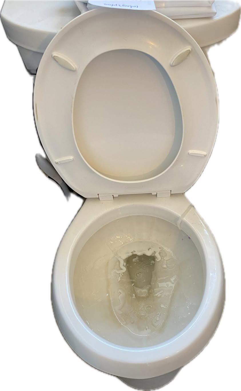 An open white toilet with water in the bowl, seen from above.