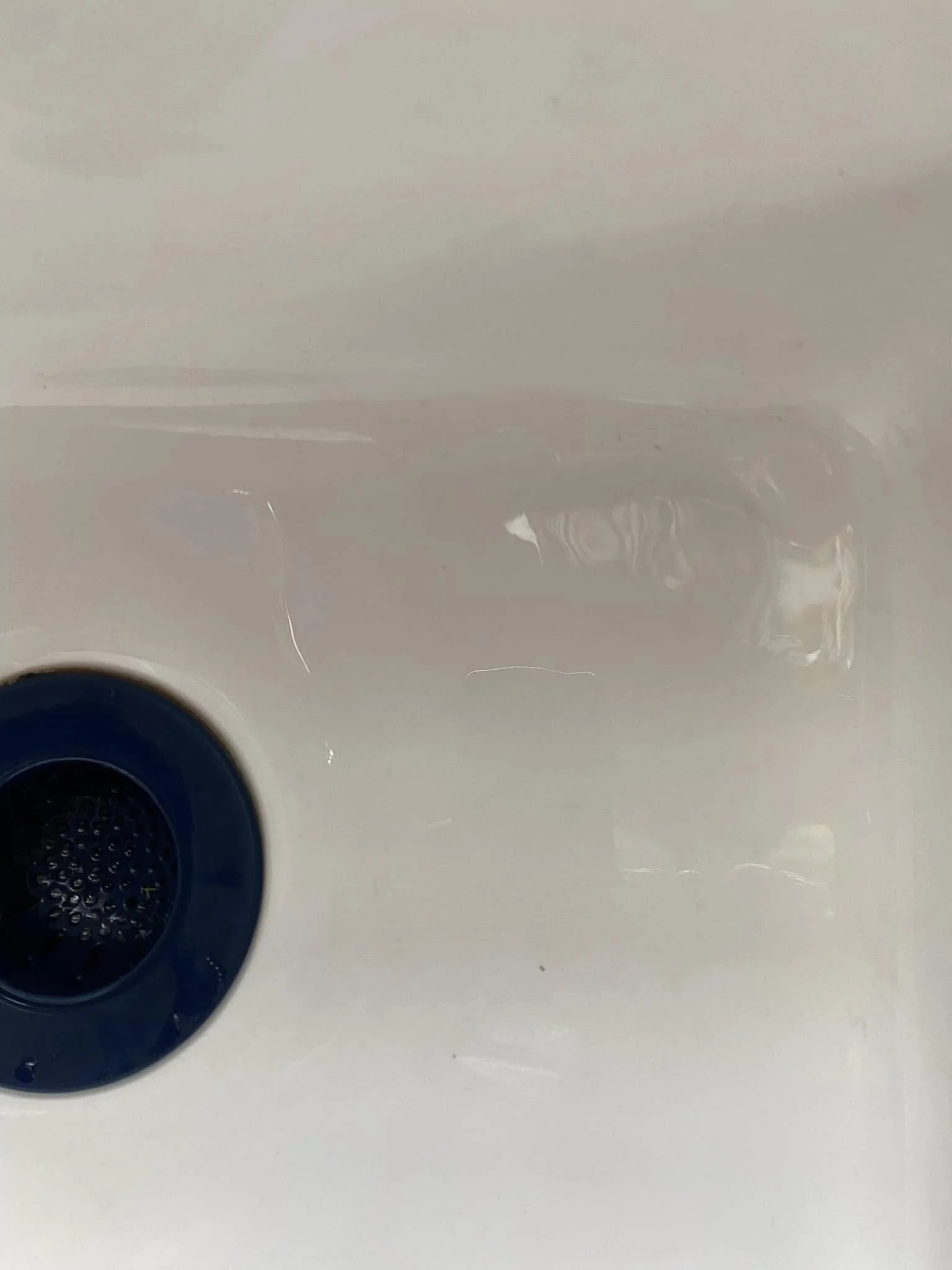 Close-up view of a white sink with a blue drain cover.