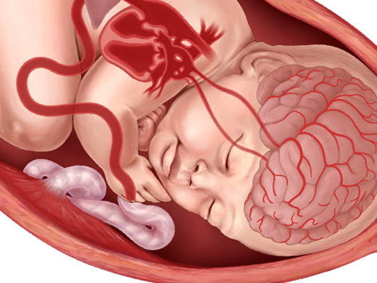 Medical Legal Visualization