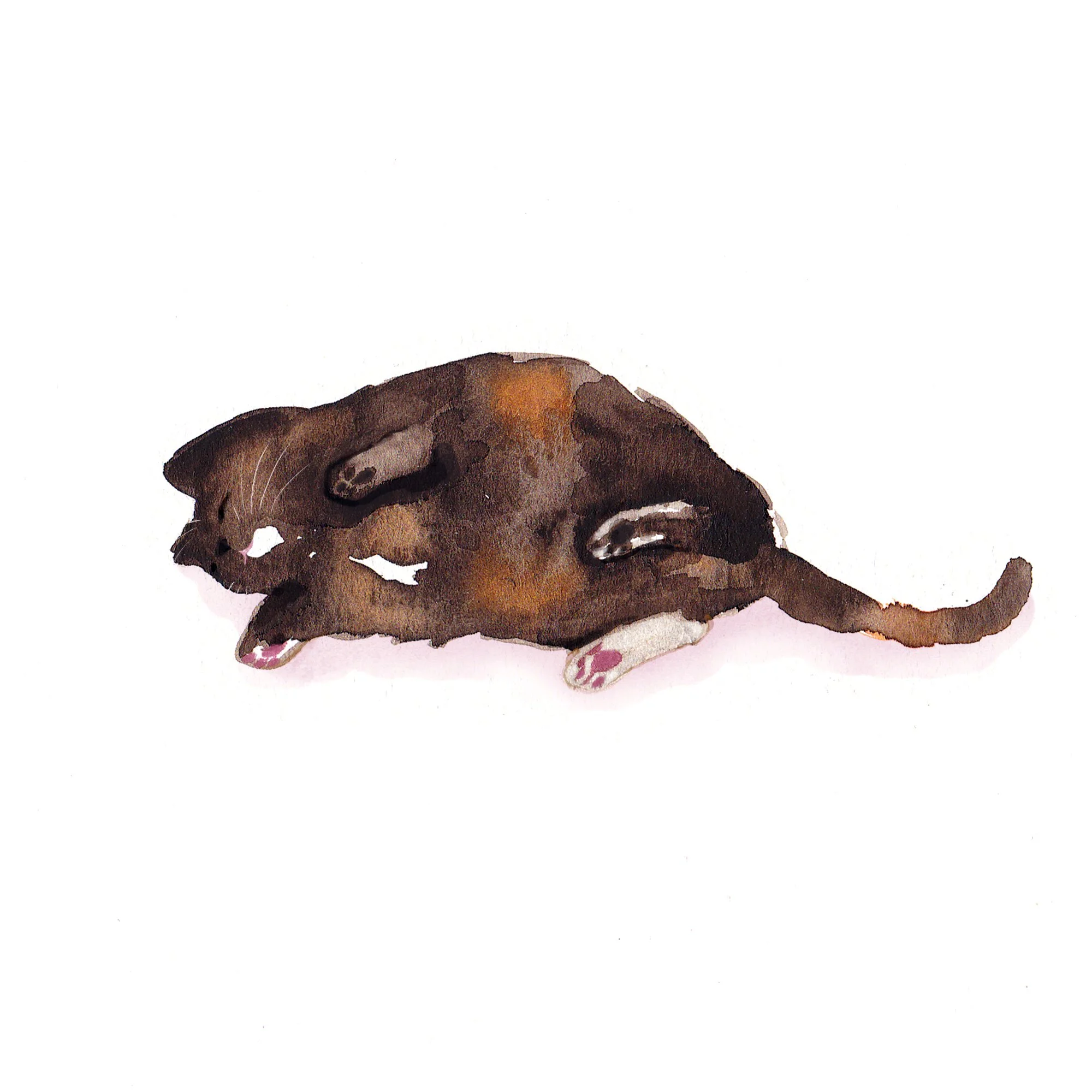 catlying.jpg