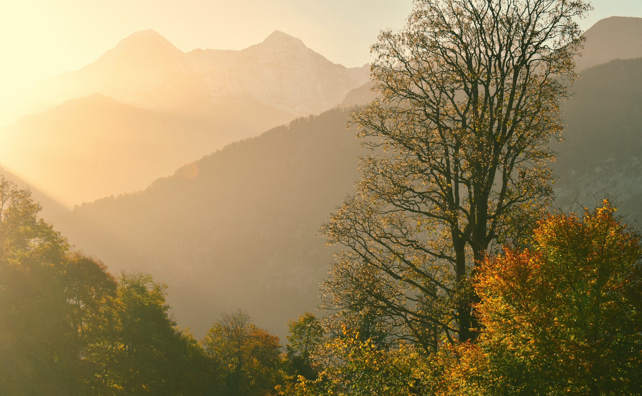 A scenic landscape with trees, mountains, and sunlight creating a warm, golden glow.