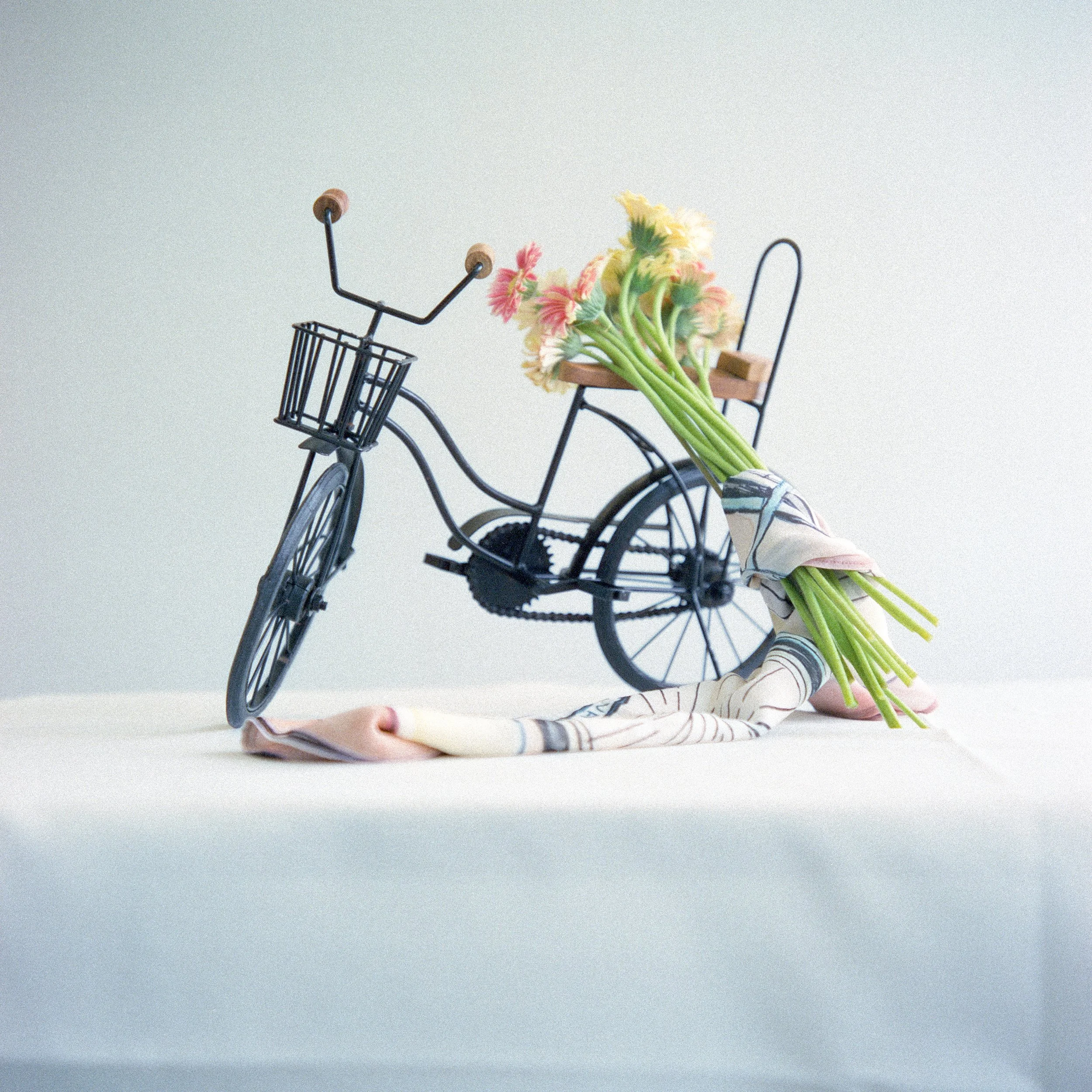 Untitled (8).jpg