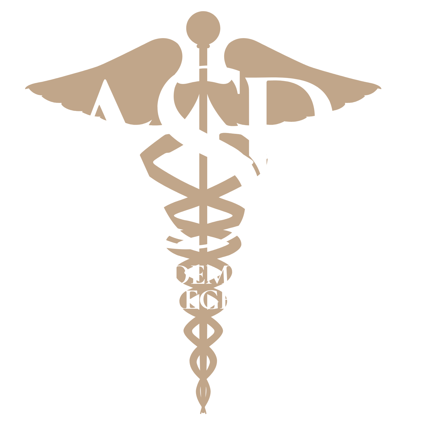 Academy of Skeletal Regeneration